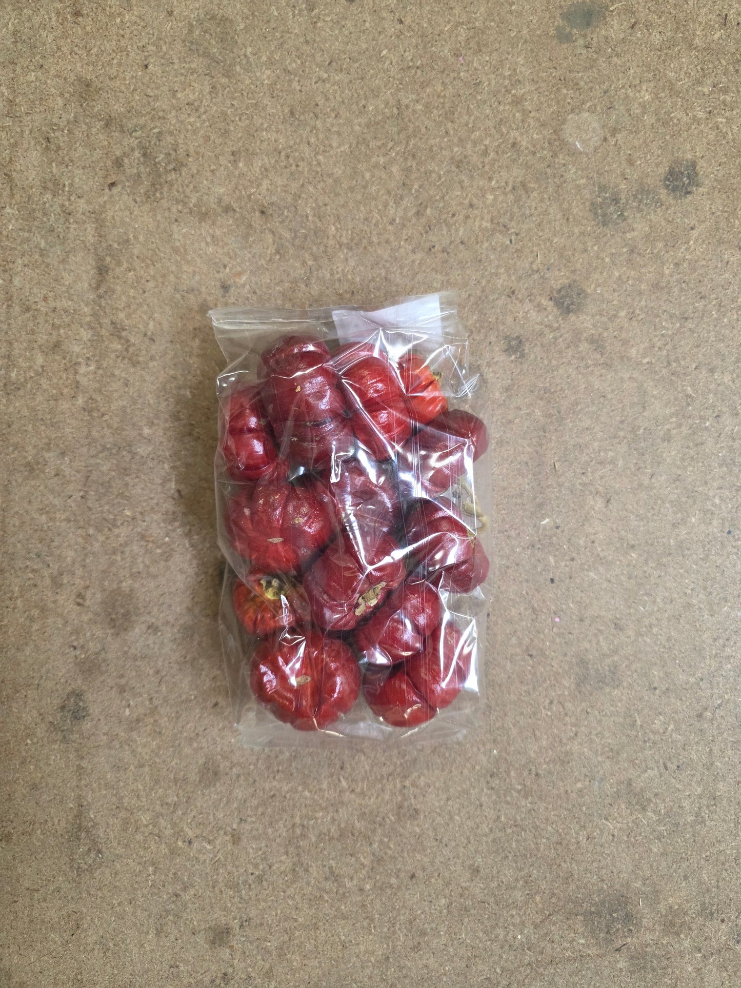 Dried Pumpkin Mini 100 Gram