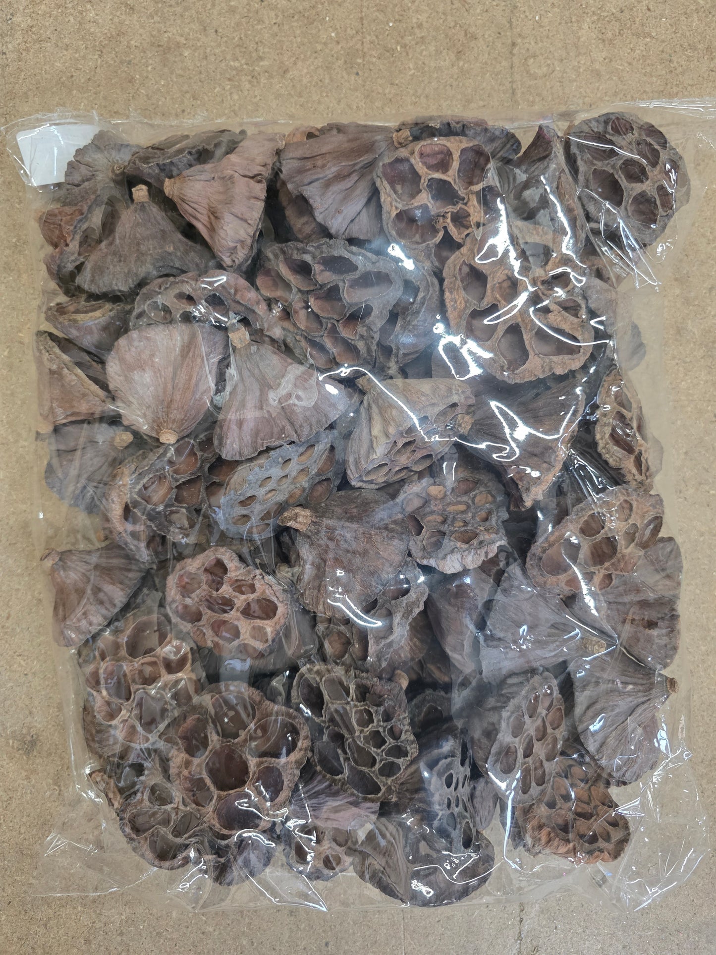 Dried Lotus Heads 4-6cm X100