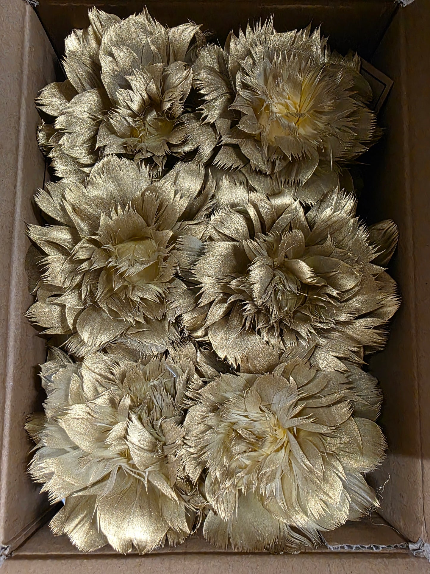 Feather Rose Clip Gold 11cm X6