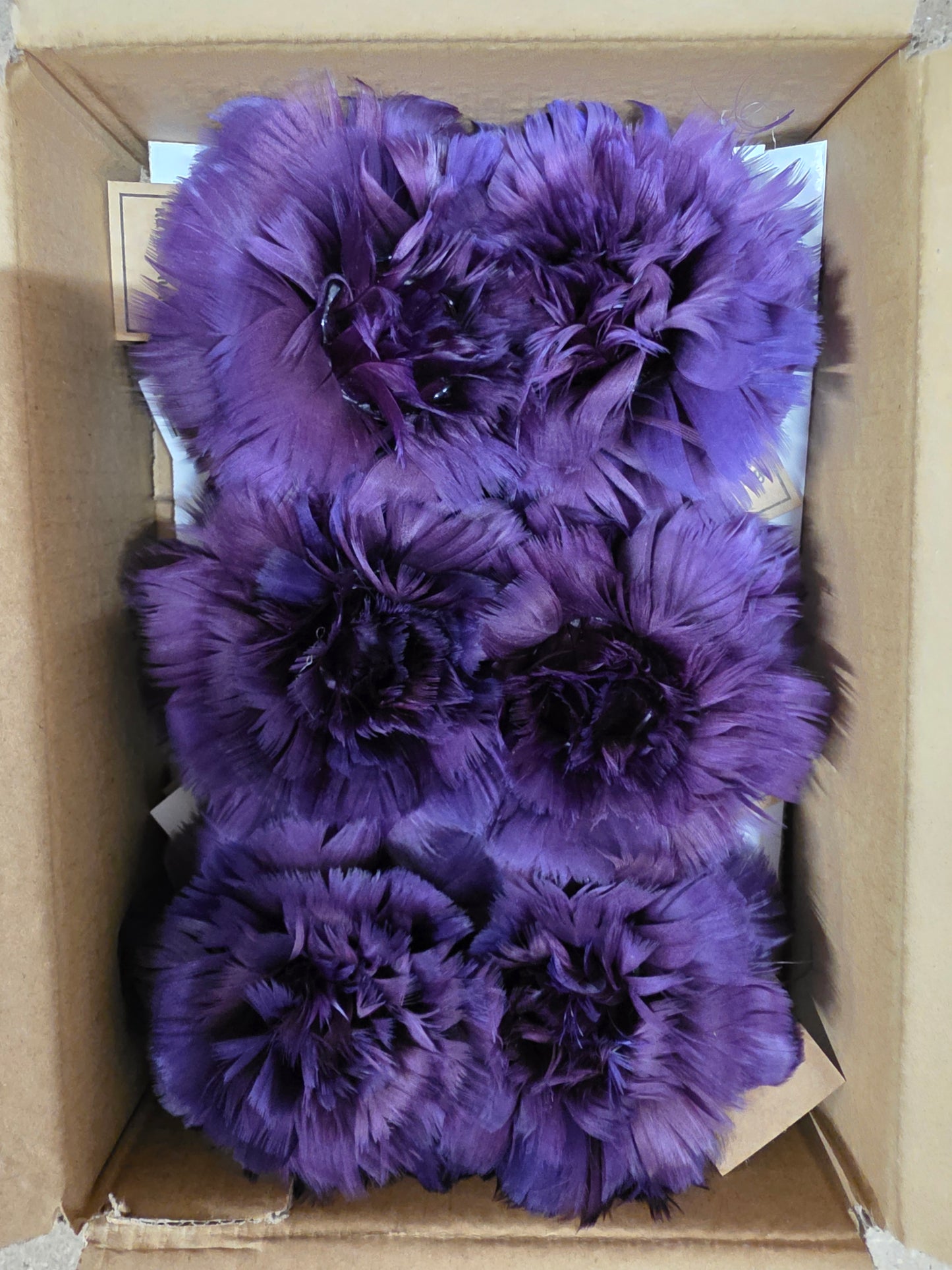 Feather Rose Clip Maroon 11cm X6