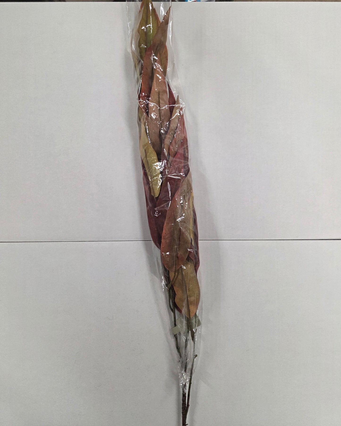 Autumn Eucalyptus Burgundy