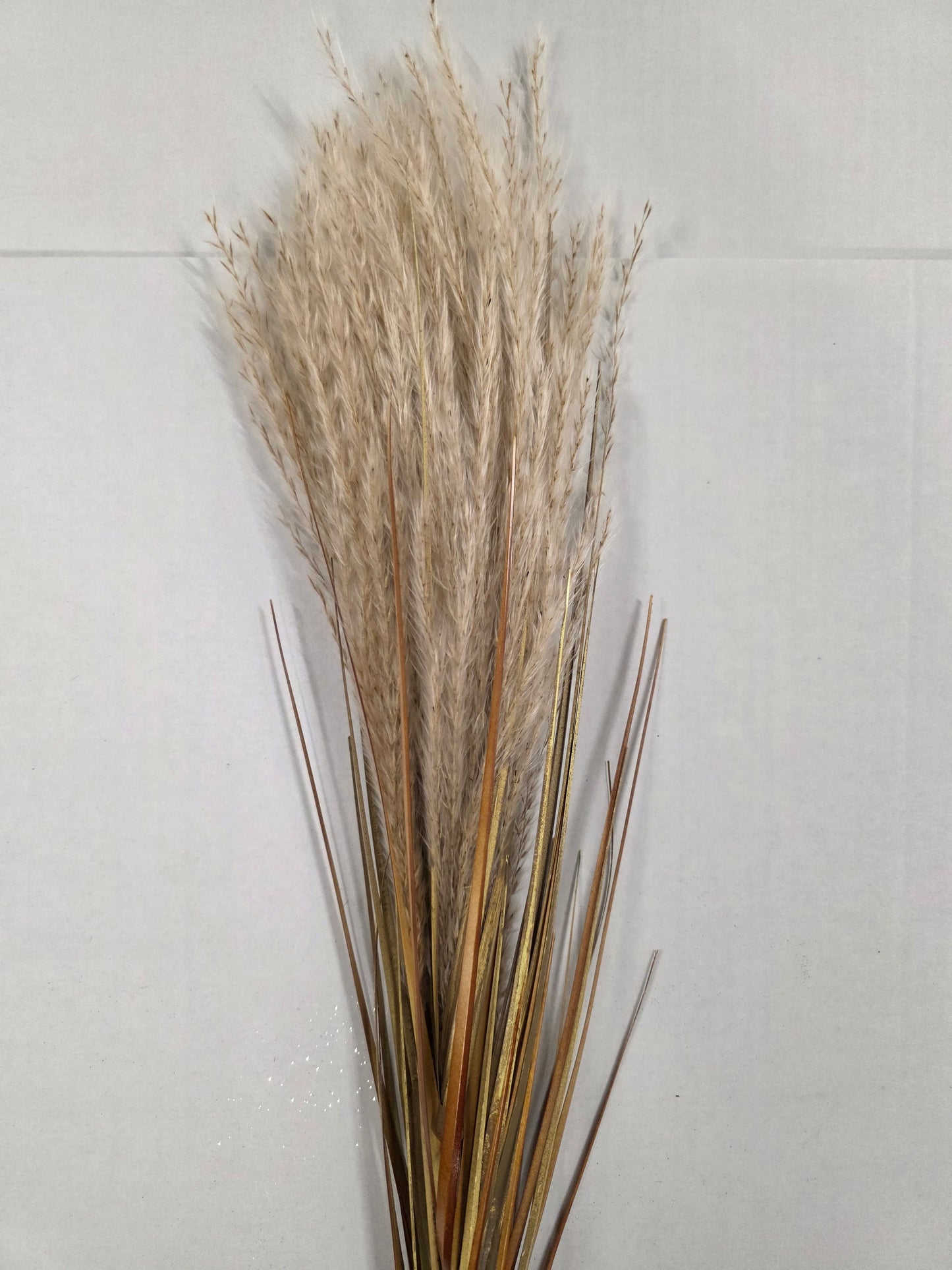 Dried Effect Reed Spray Cream