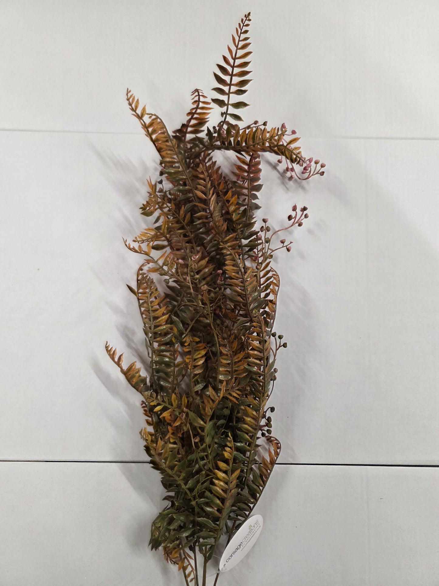 Fern Trail Green Orange