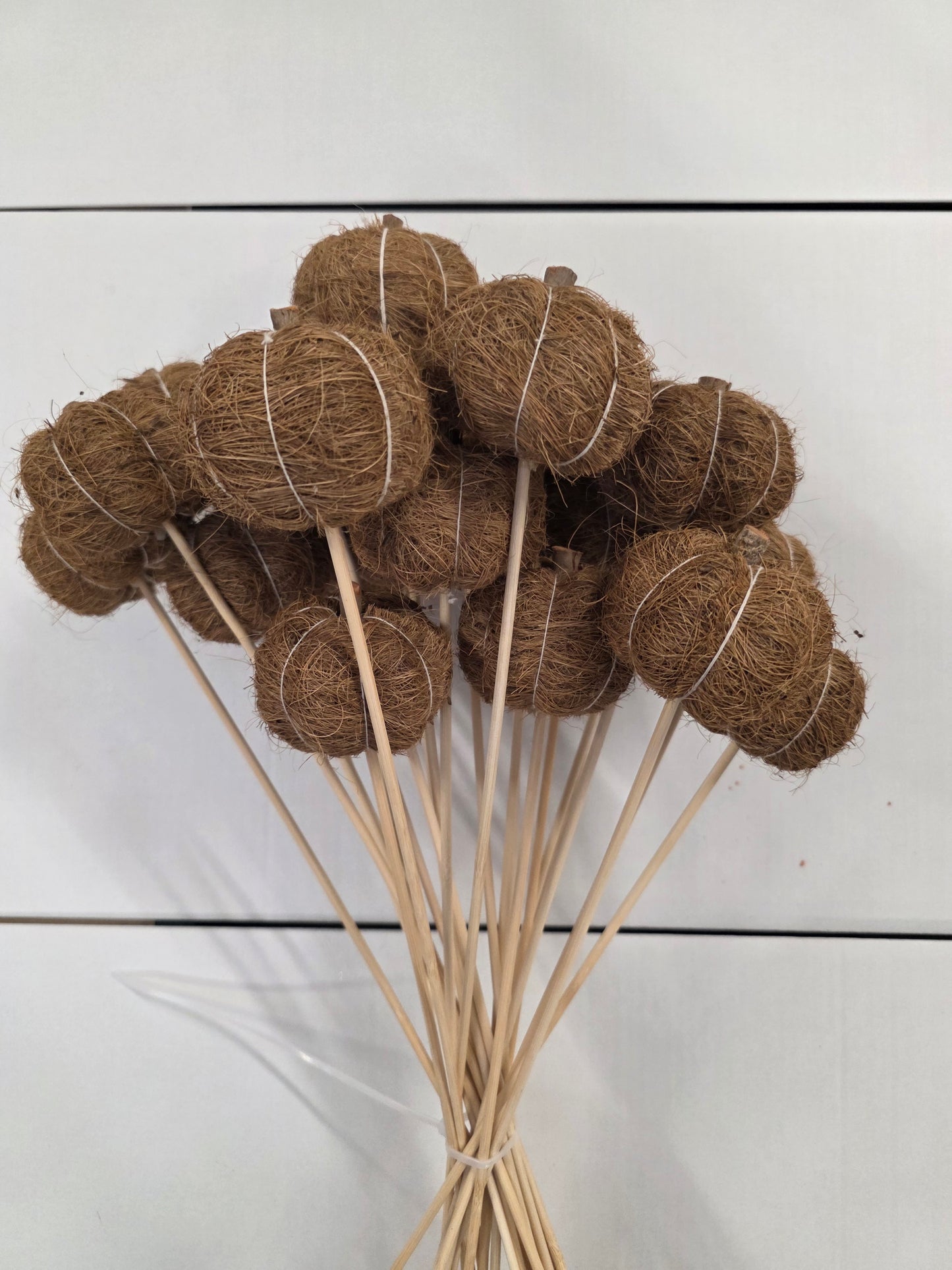 Pick Sisal 6cm Pumpkin 50cm Natural (Pack of 25 pieces)