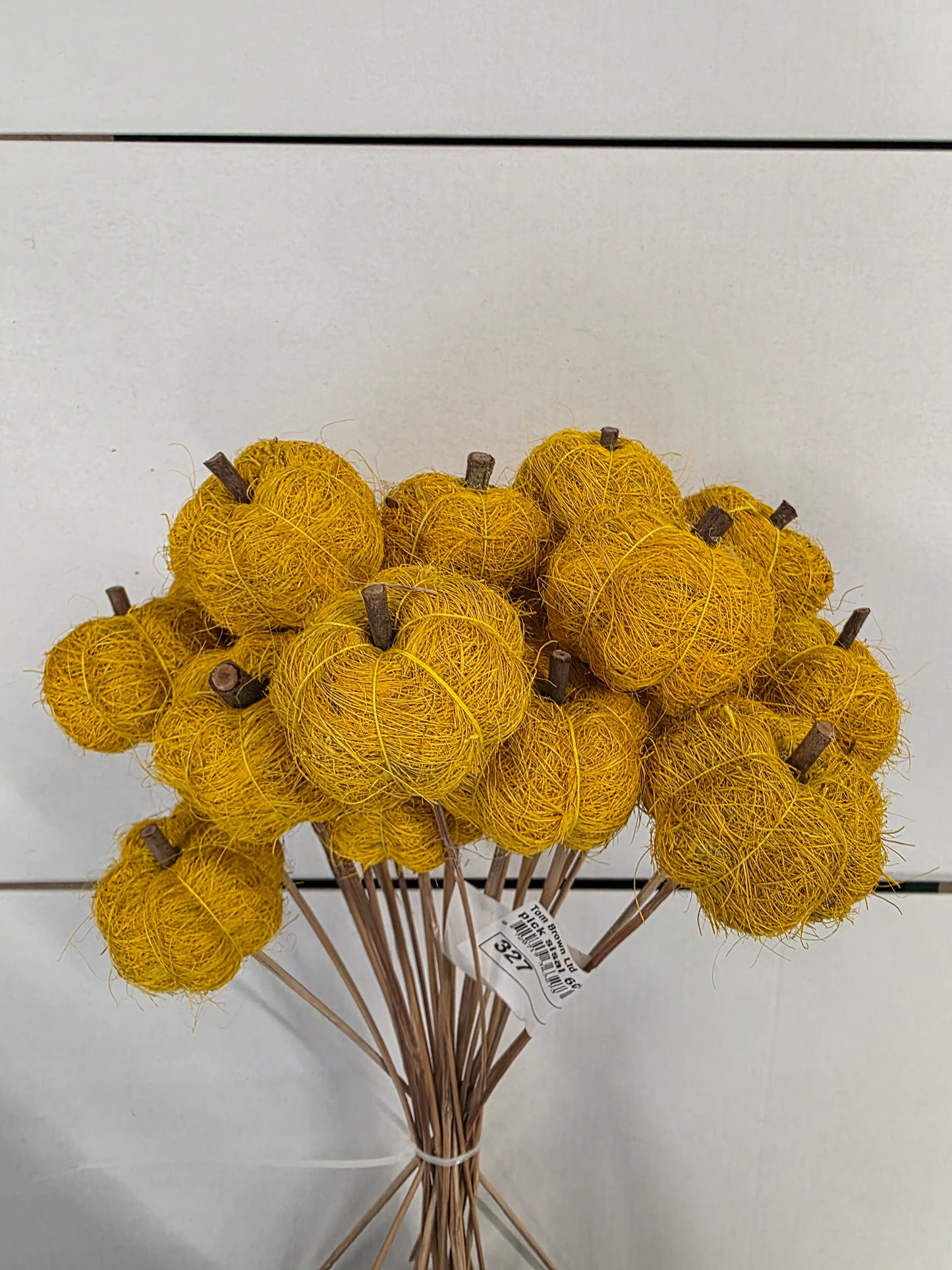 Pick Sisal 6cm Pumpkin 50cm Yellow (Pack of 25 pieces)