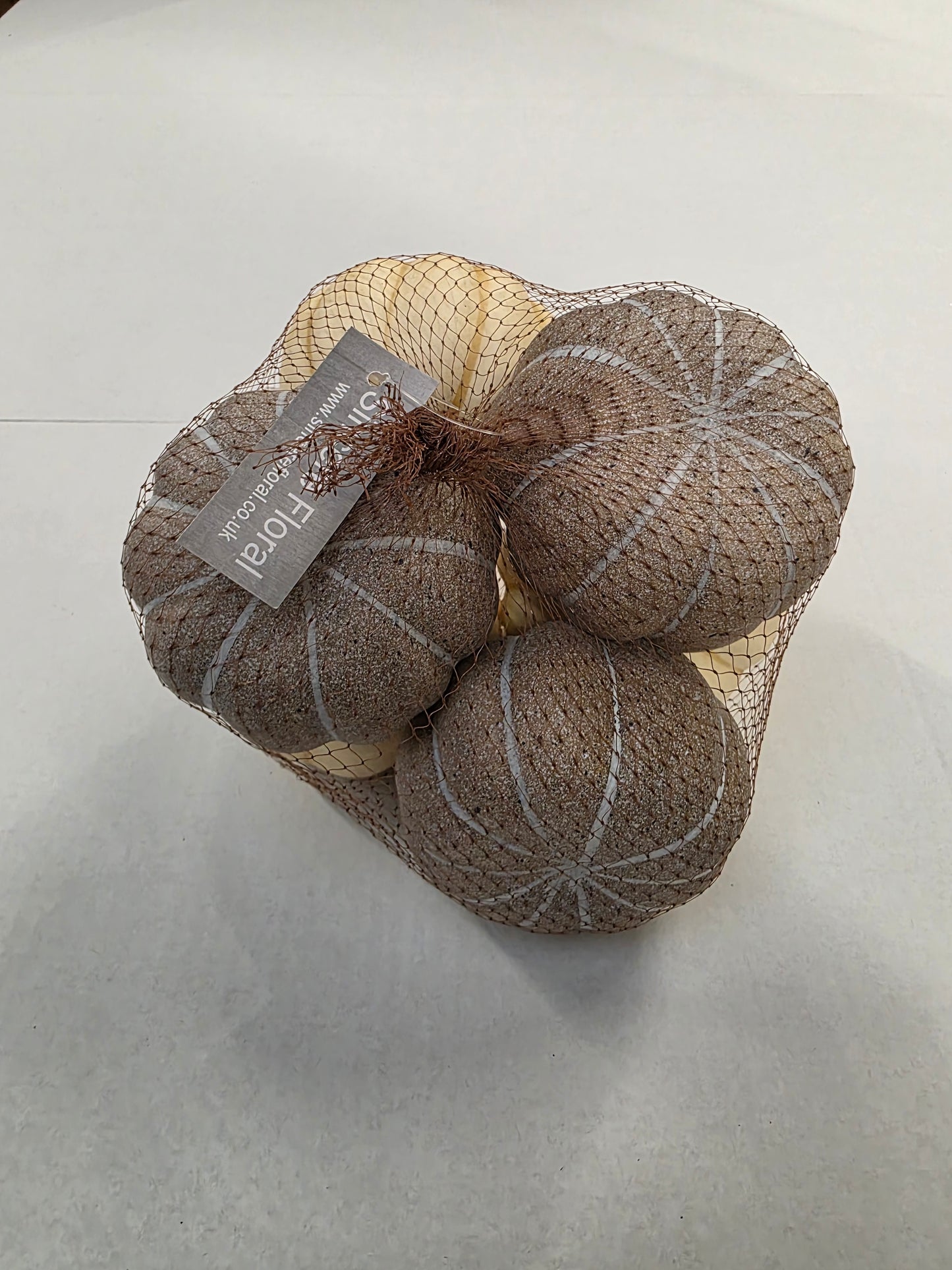 Pumpkin Cream & Green 10cm X6