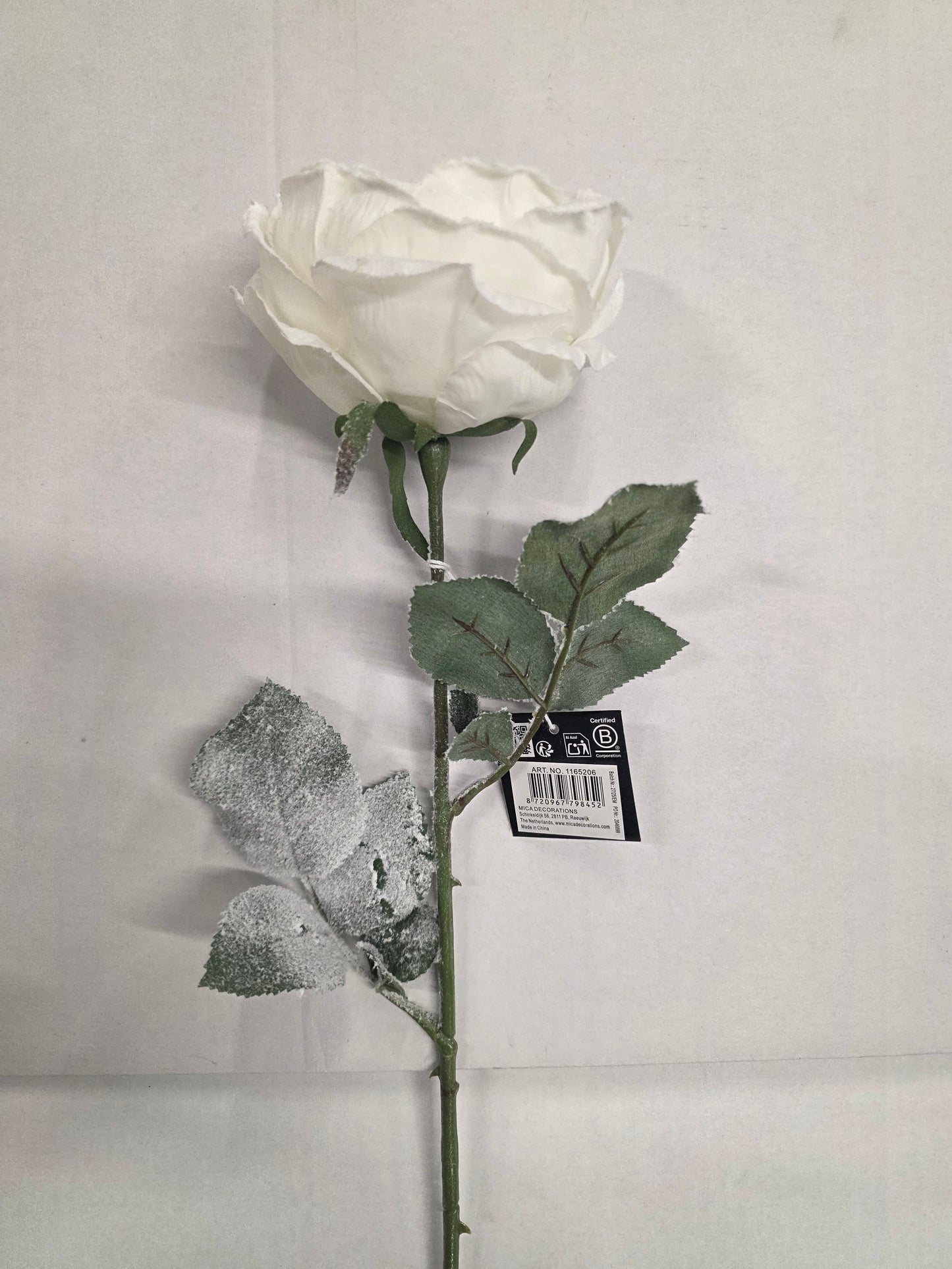 Cabbage Rose White 66cm