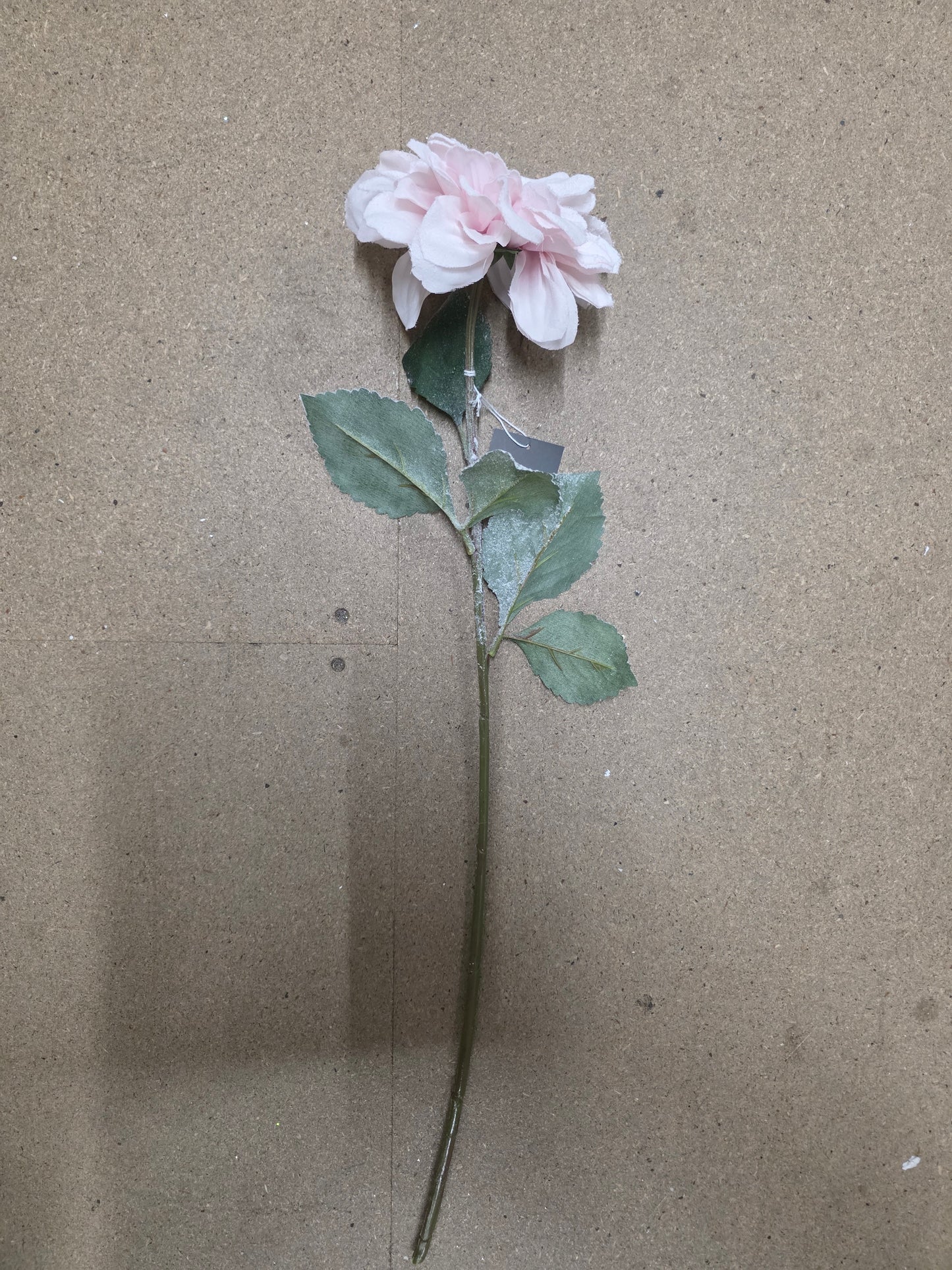 Dahlia Pink Frosted 69cm