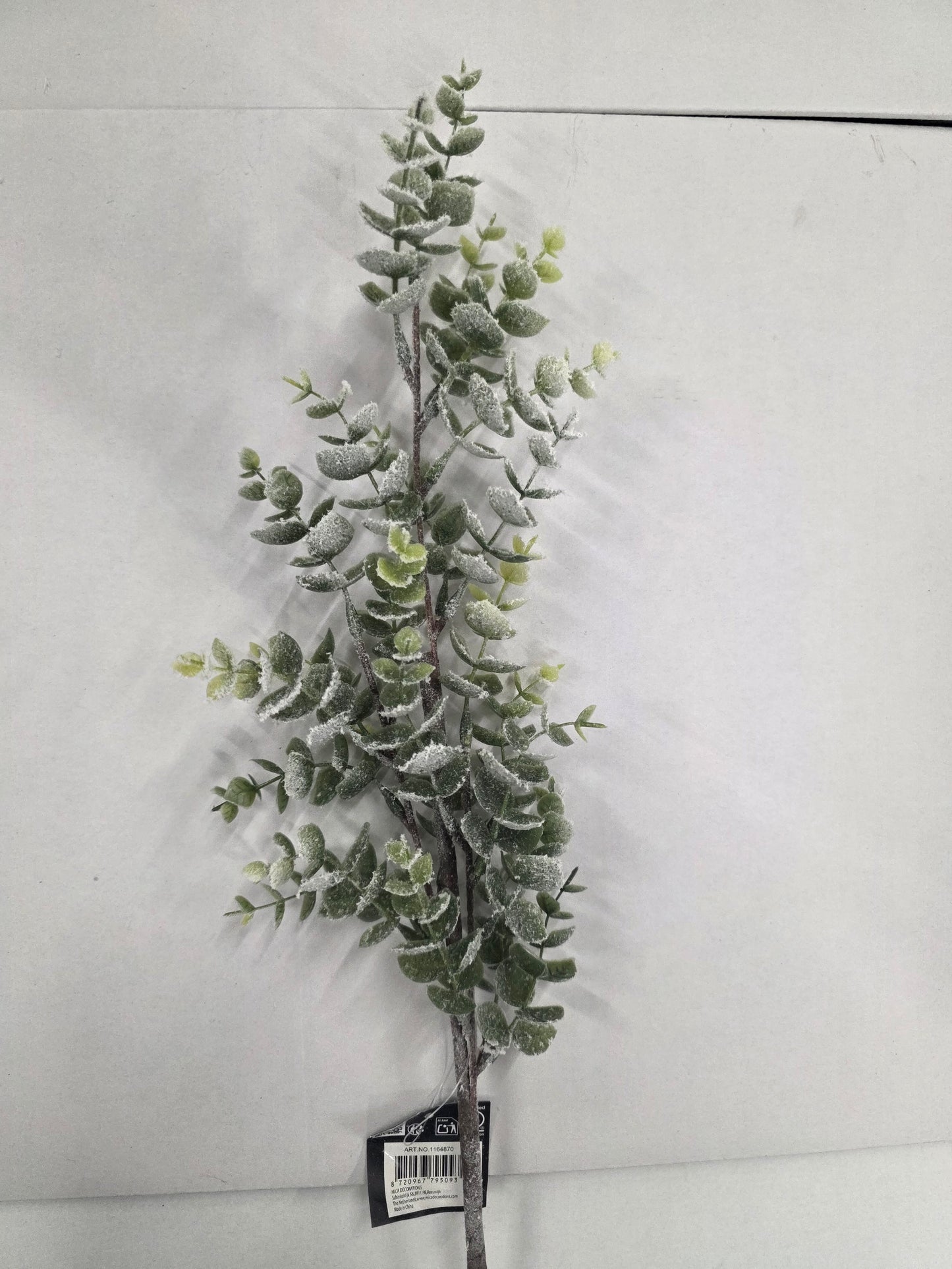 Eucalyptus Frosted 75cm