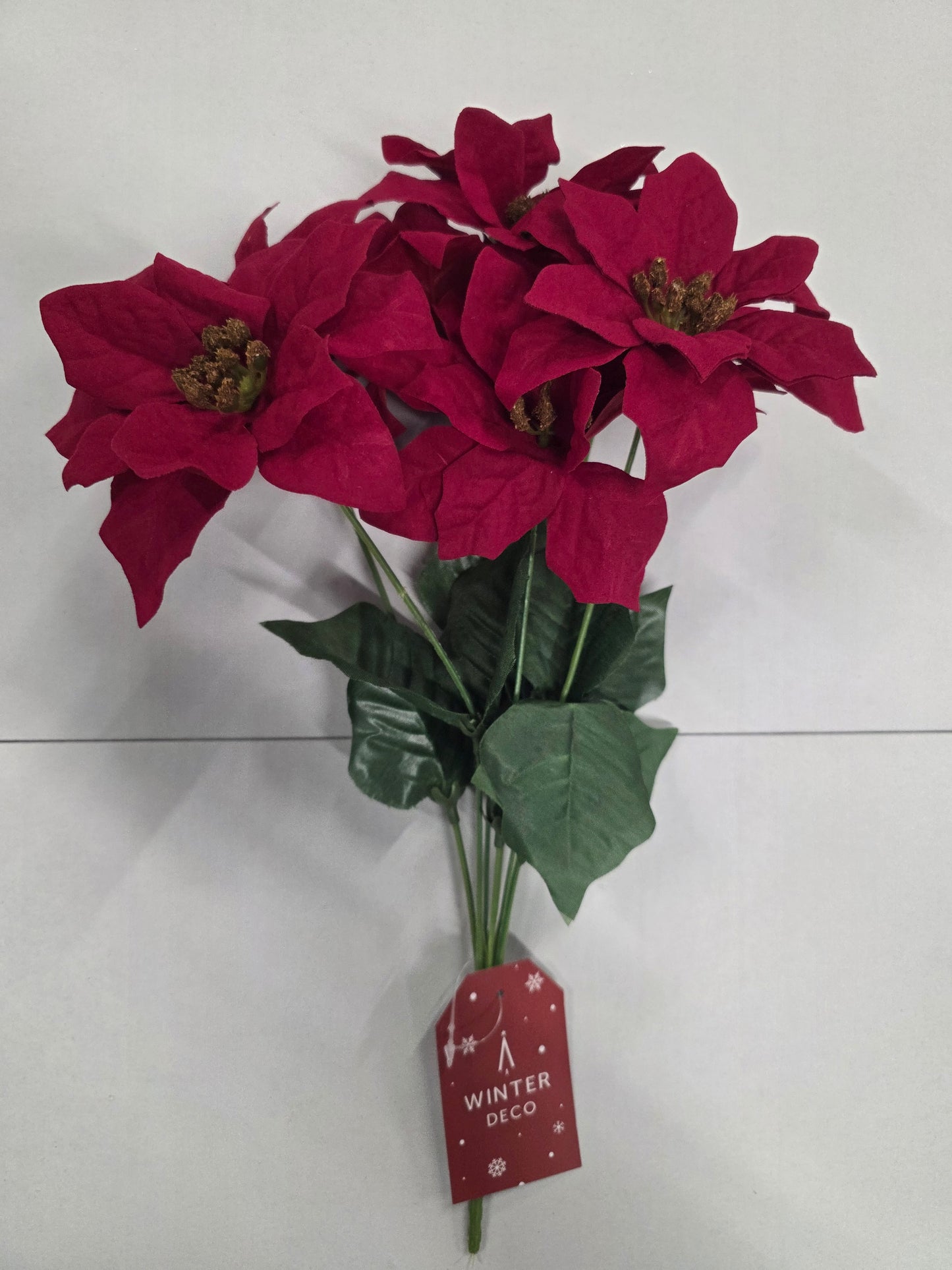 Poinsettia Bush Red X7