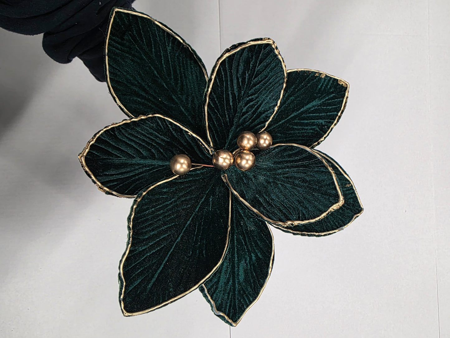 Poinsettia Green Gold Edge 25cm