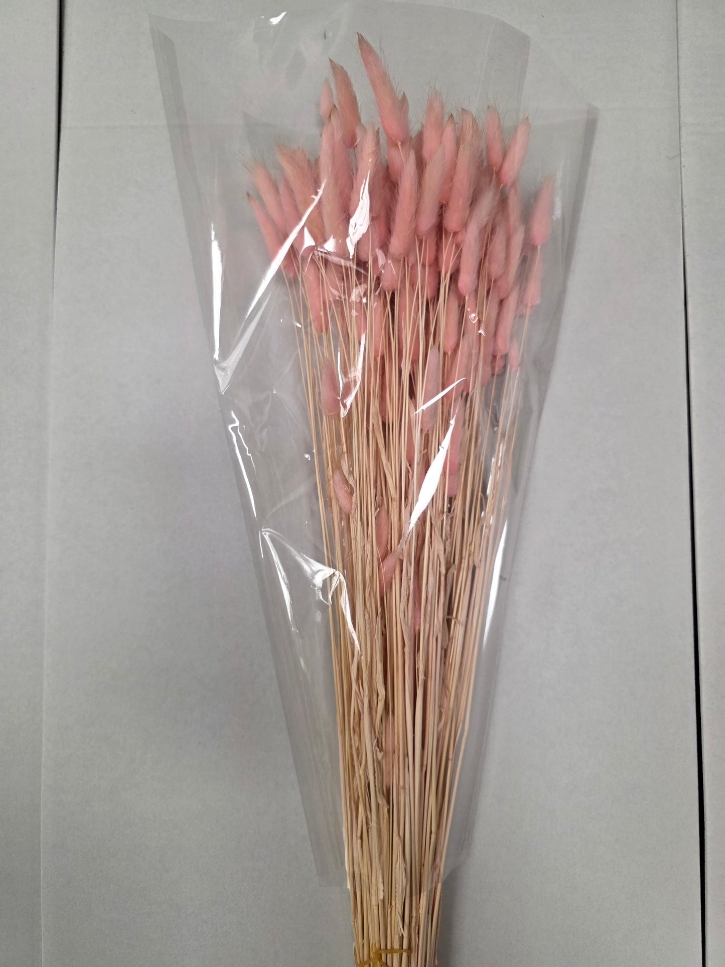Dried Lagurus Light Pink