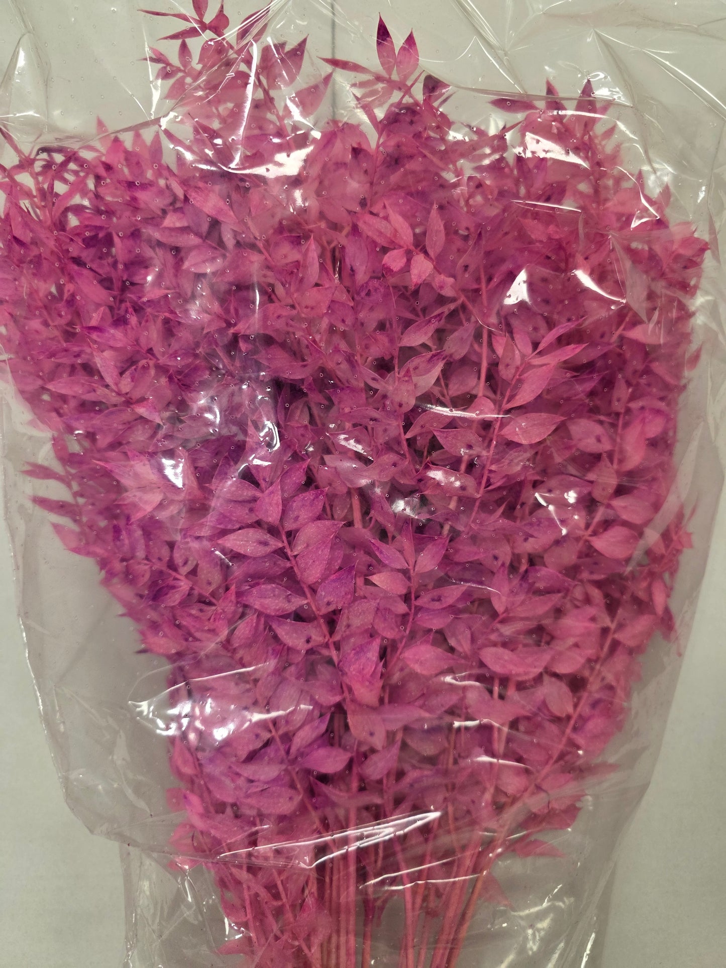 Dried Ruscus L.milka