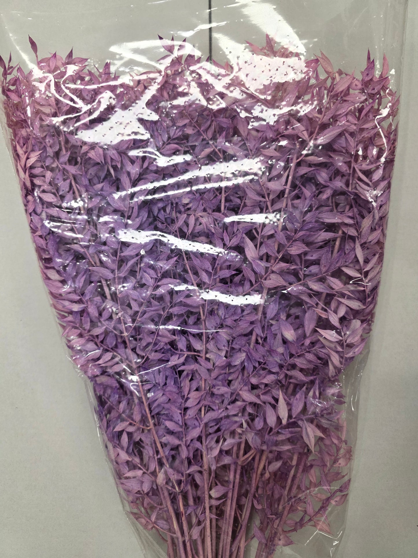 Dried Ruscus Lavender