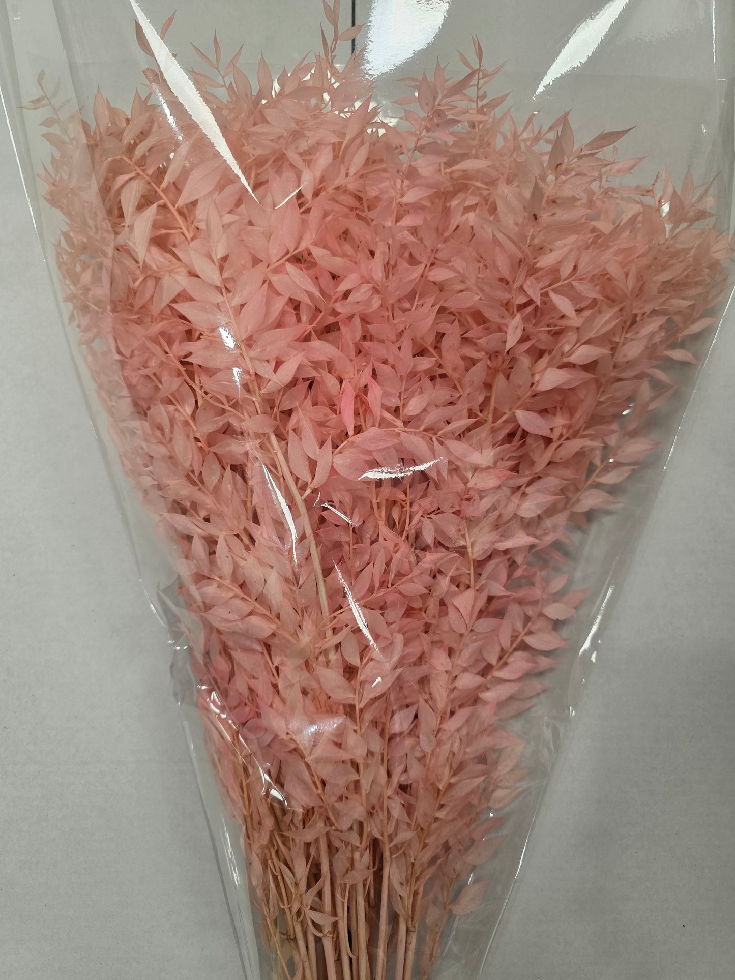 Dried Ruscus Pink