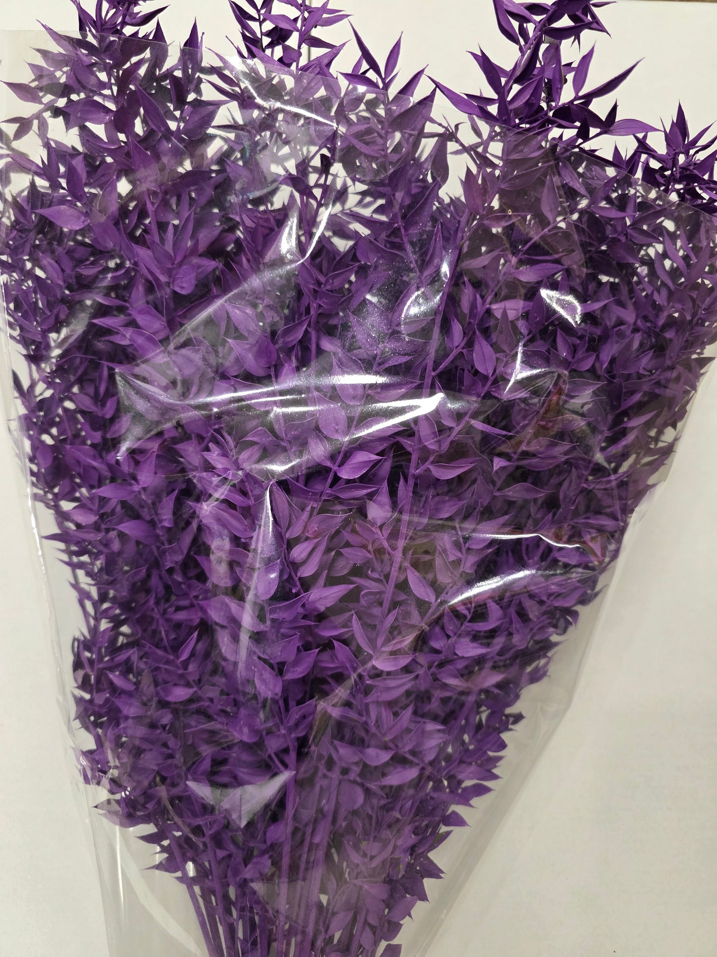 Dried Ruscus Purple