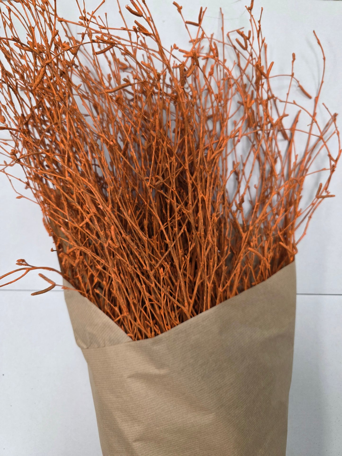 Berk Orange 120cm