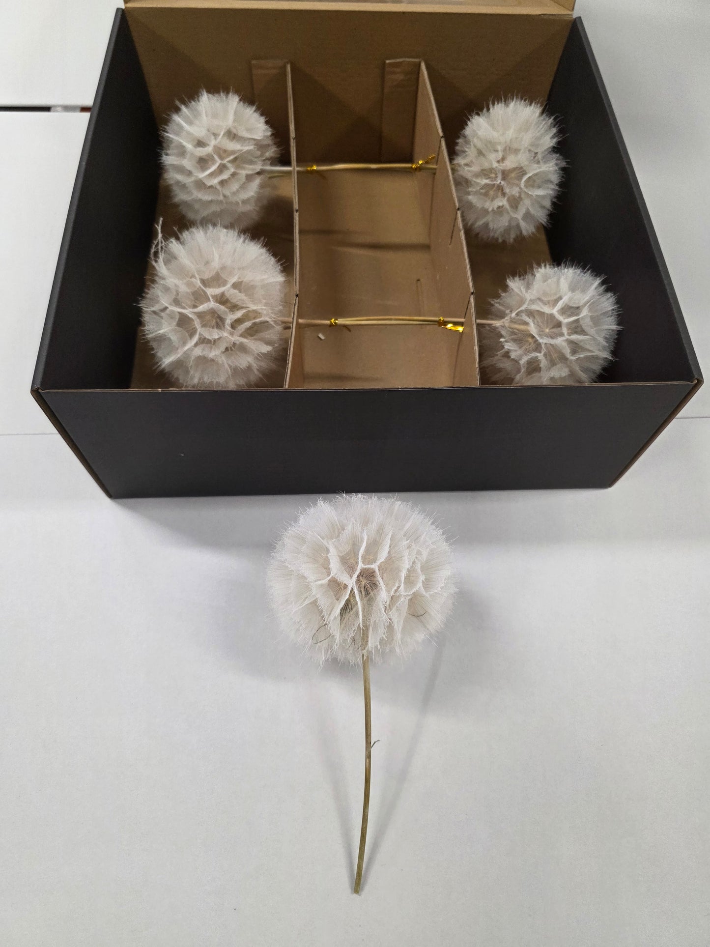 Dried Stem Dandelion 35x11cm X5