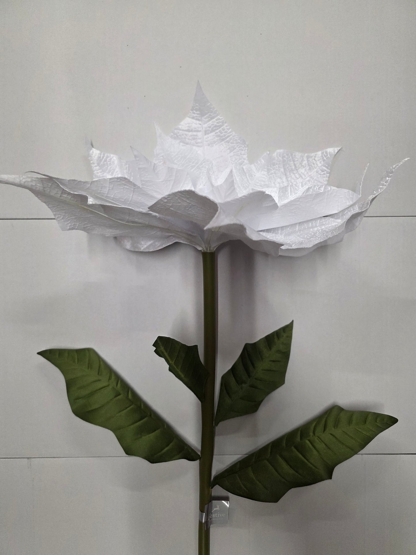 Giant Poinsettia Silver Velvet 135cm