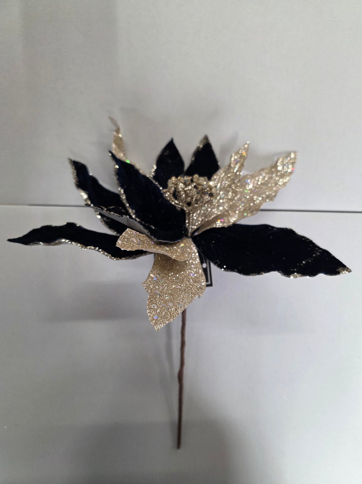 Flower Navy Champange 30cm