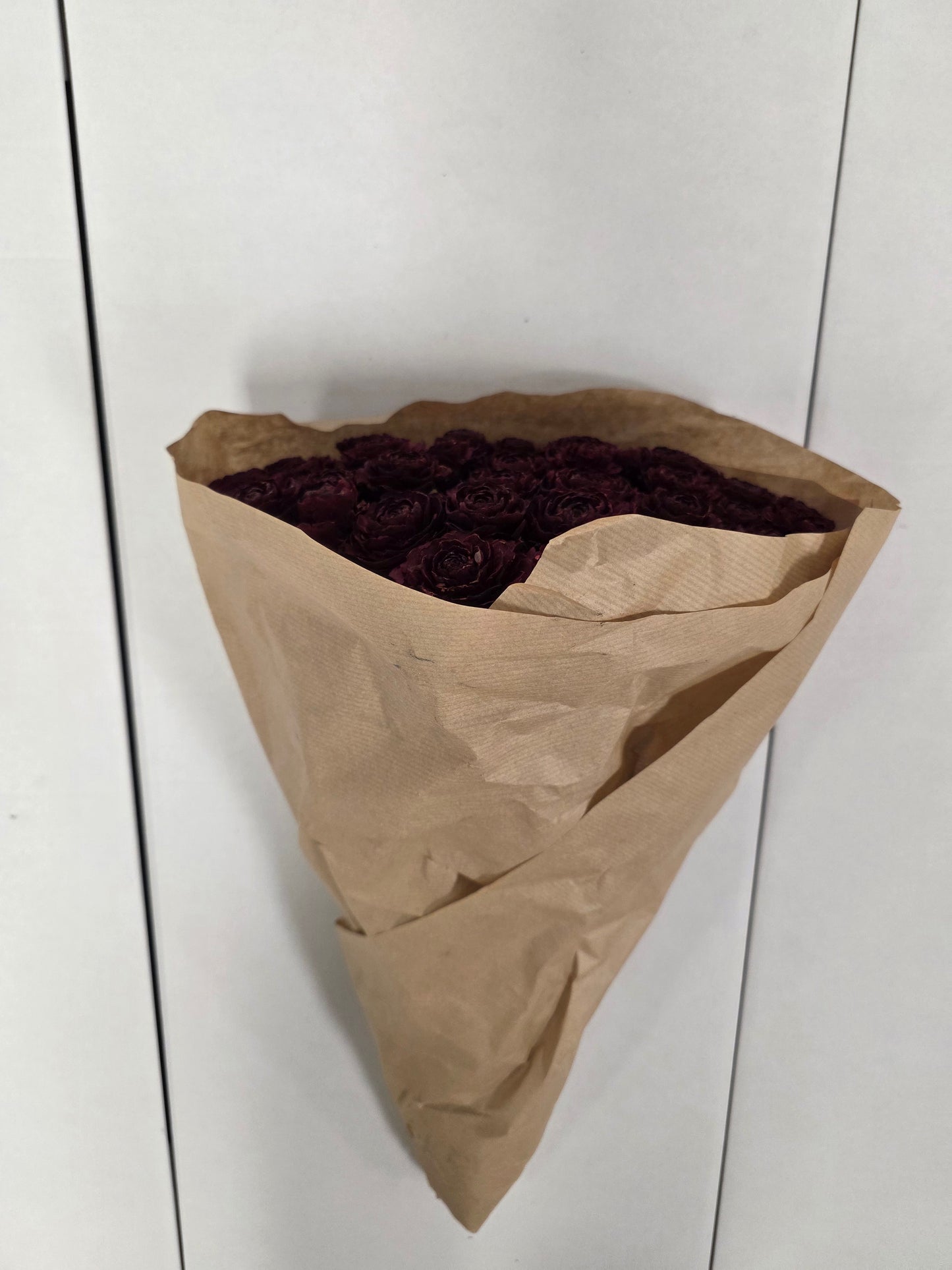 Dried Cederroos Red