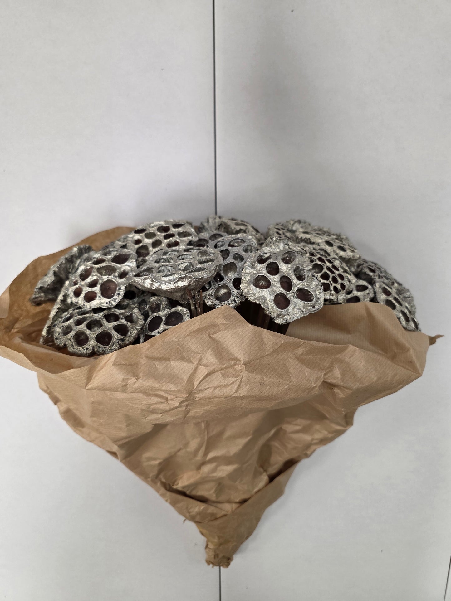 Dried Lotus Wit + Goud Glitter