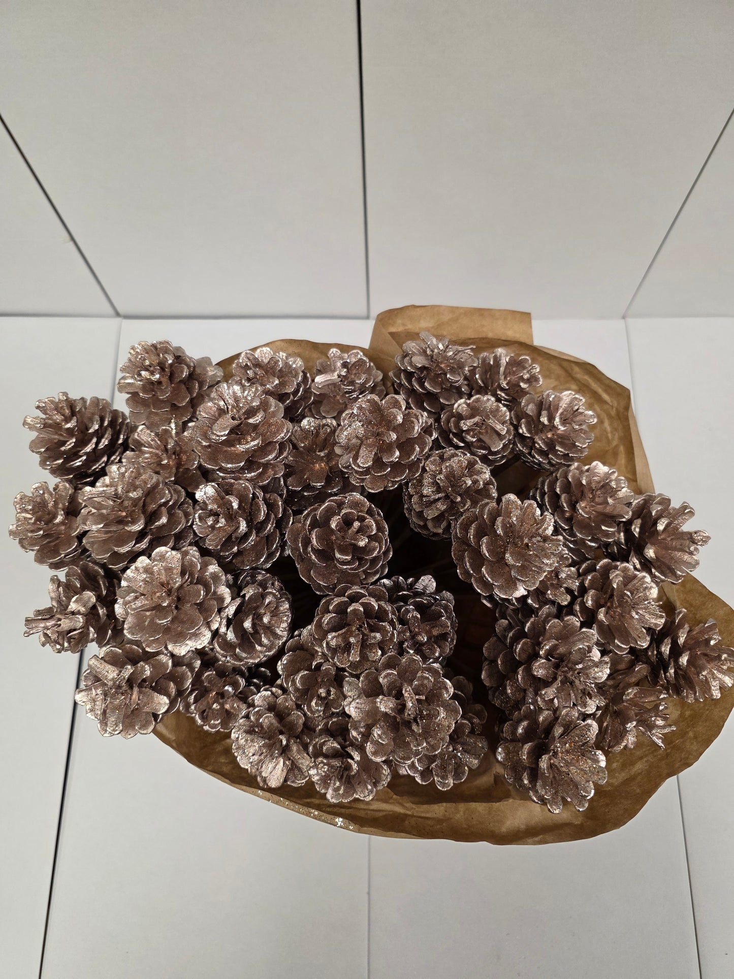 Dried Pine Cone Champange + Gli