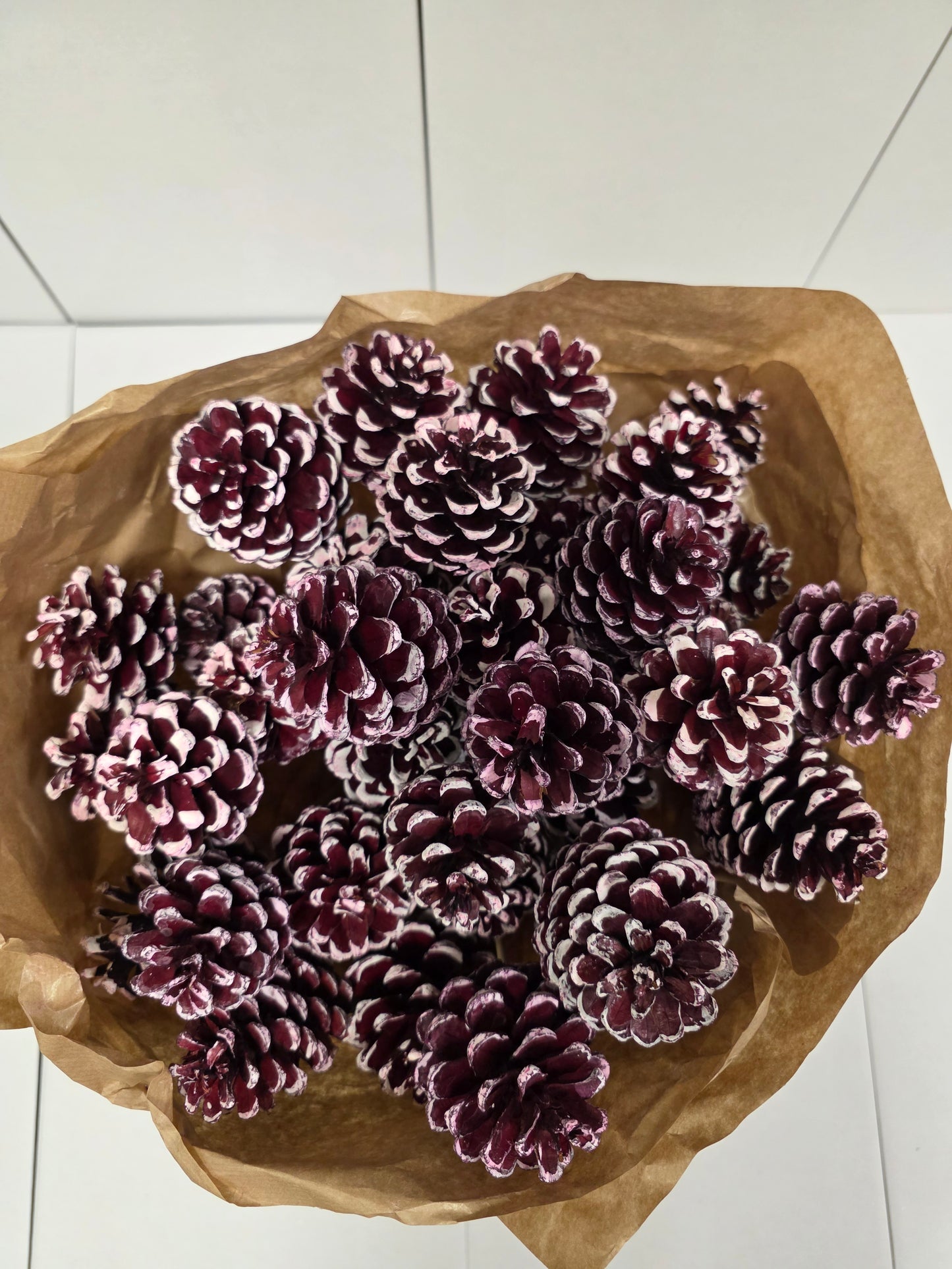 Dried Pine Cone Red Tip