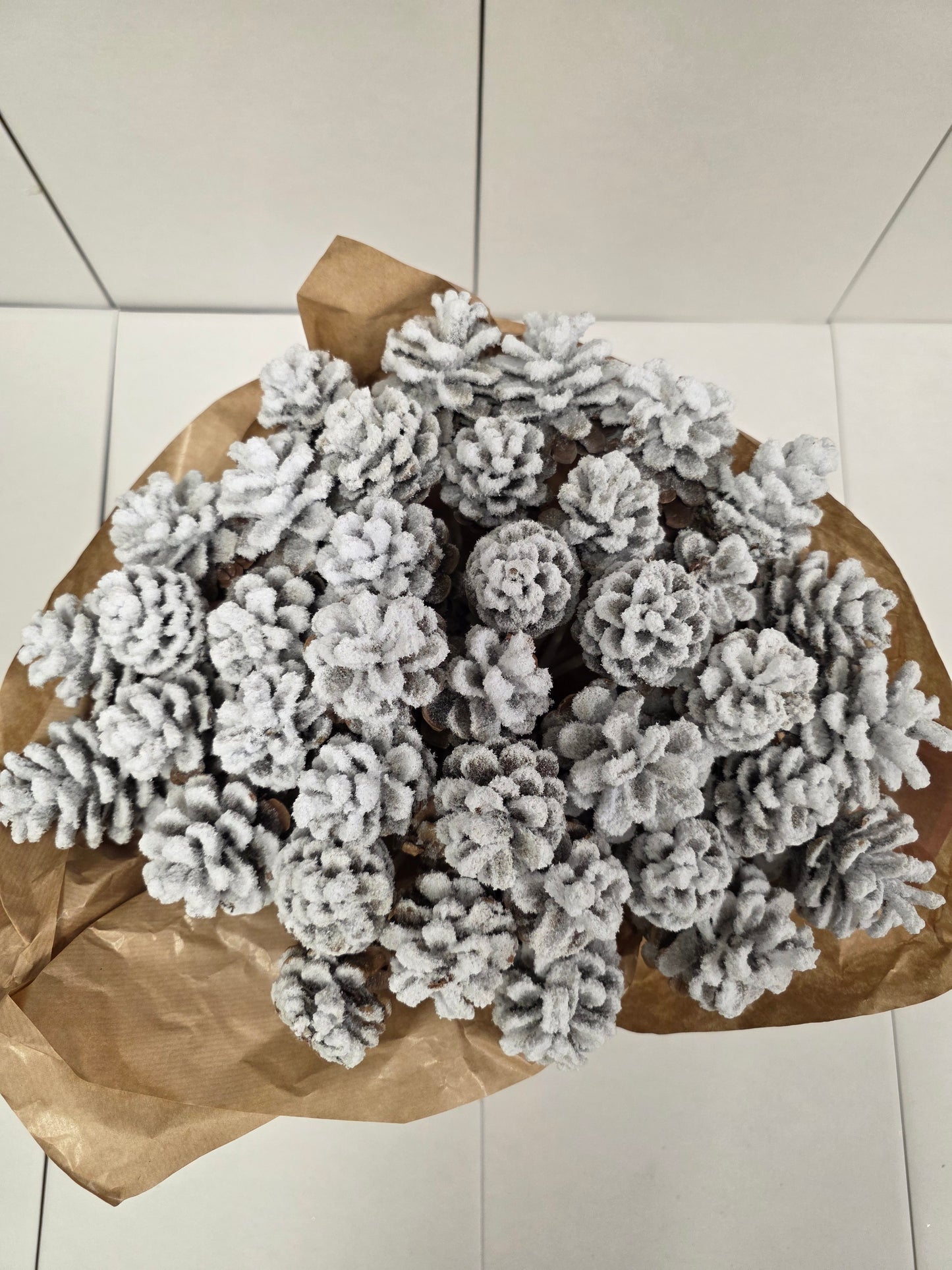 Dried Pine Cone Snow