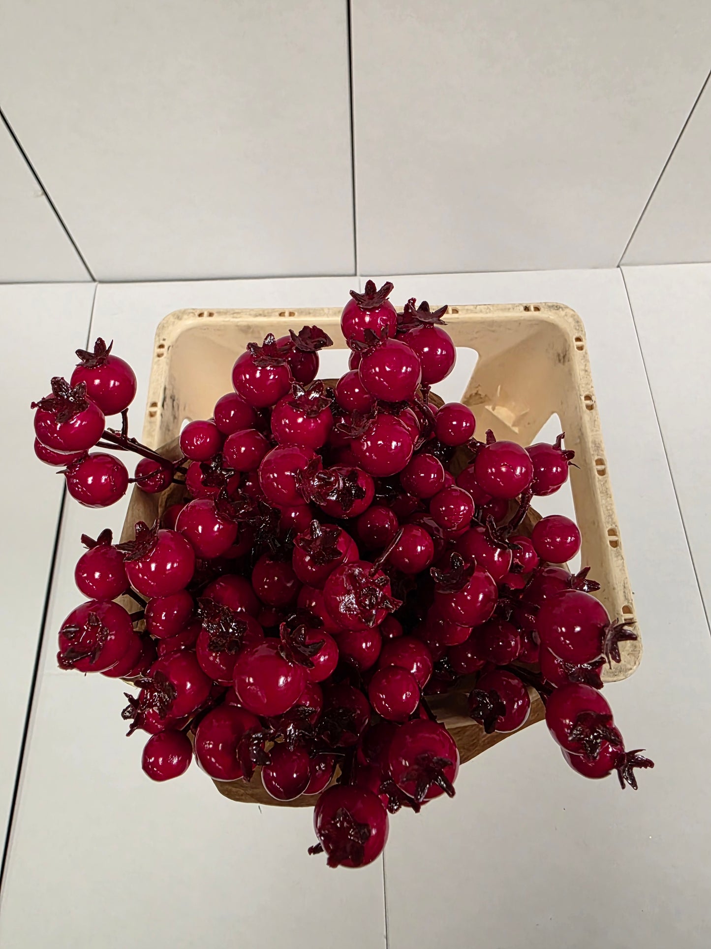 Dried Rozenbottel + Frosted