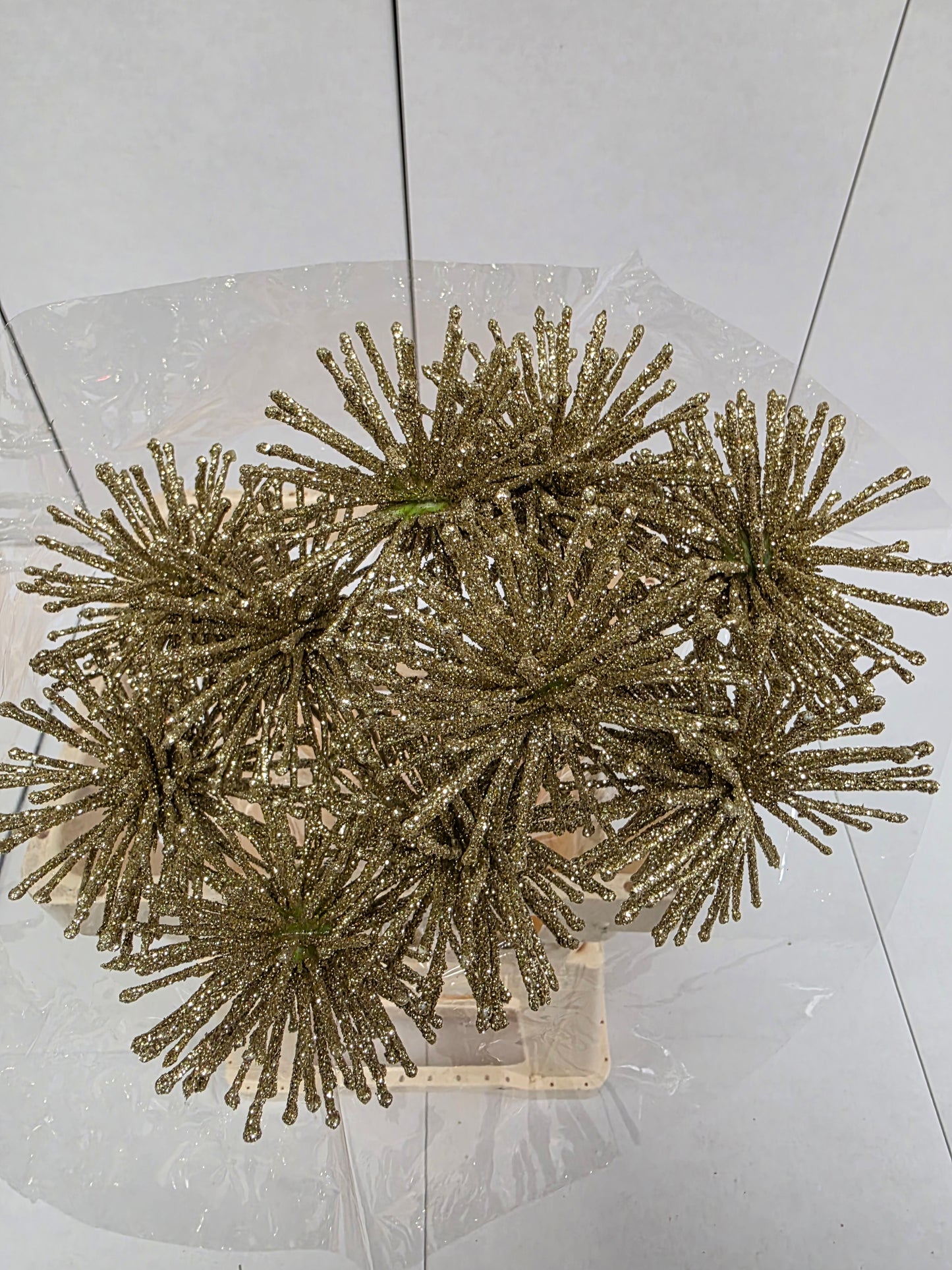 Dried Spider Ball Gold