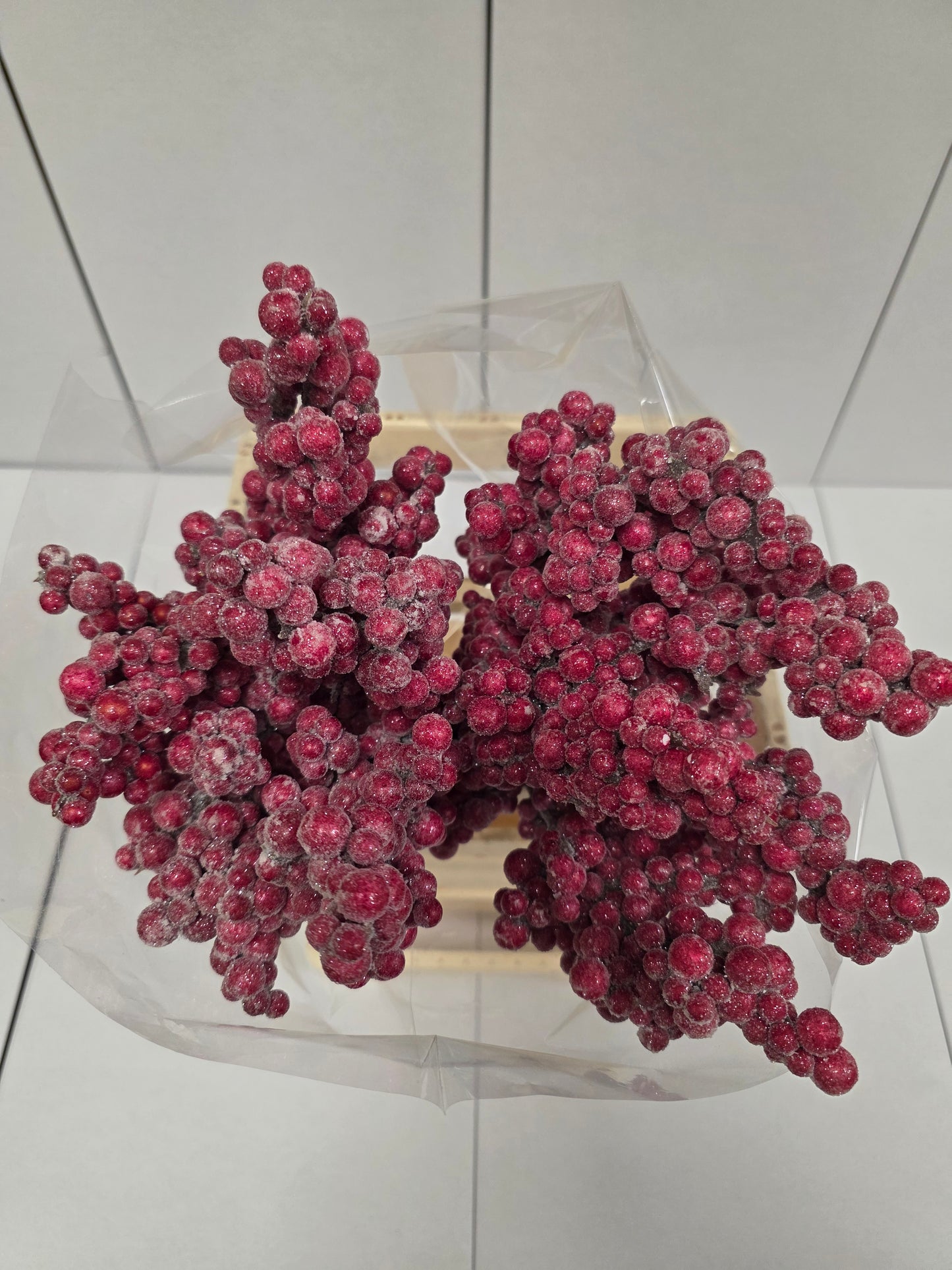 Peper Bes Op Stok Zz Icy Rood