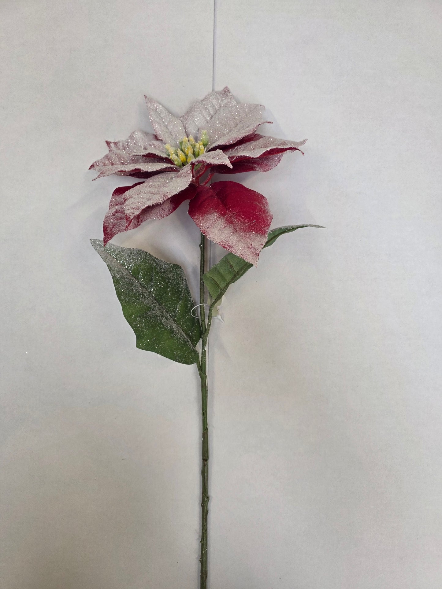 Snow Poinsettia Stem 71cm