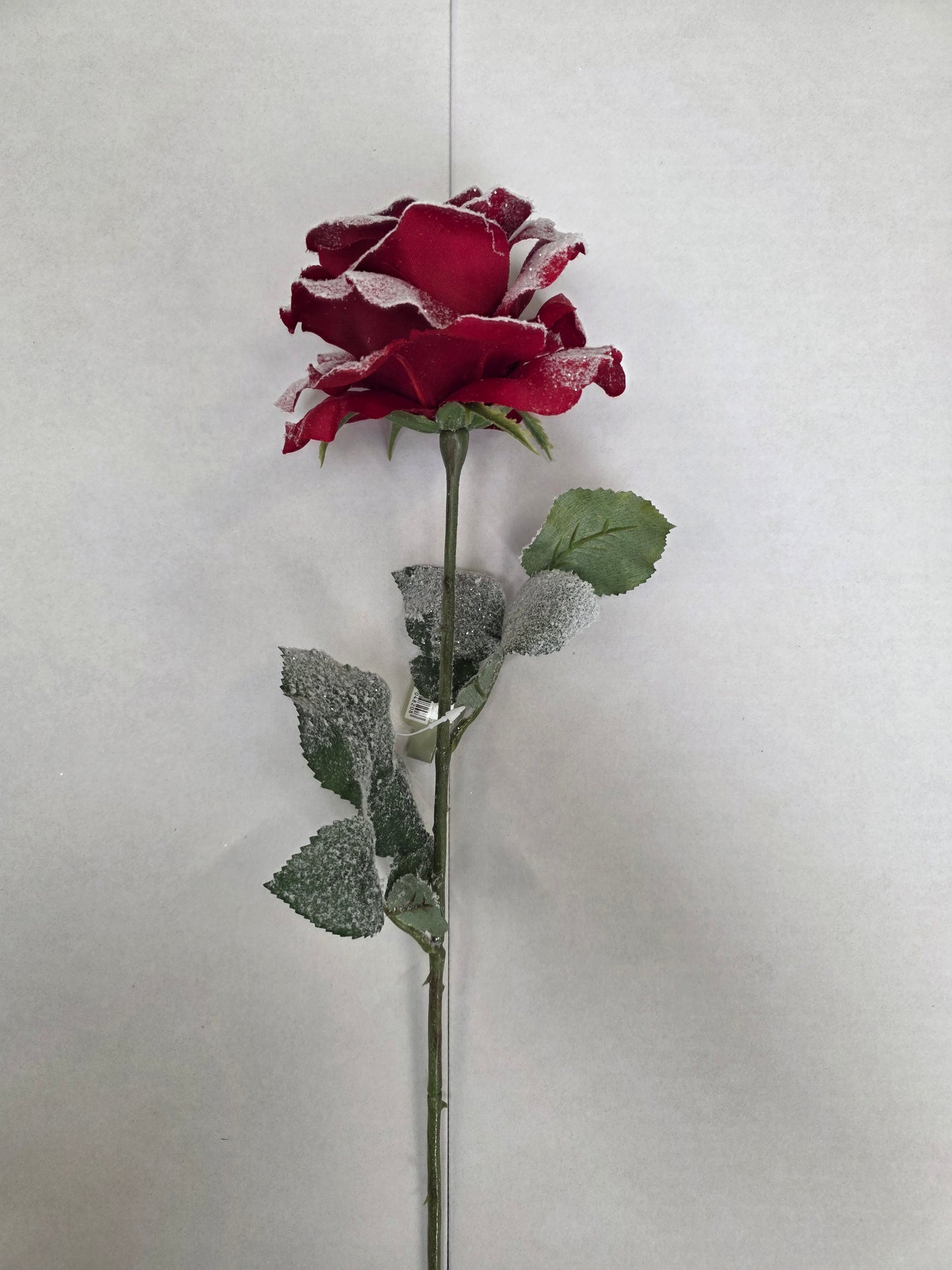Snow Rose Stem 67cm