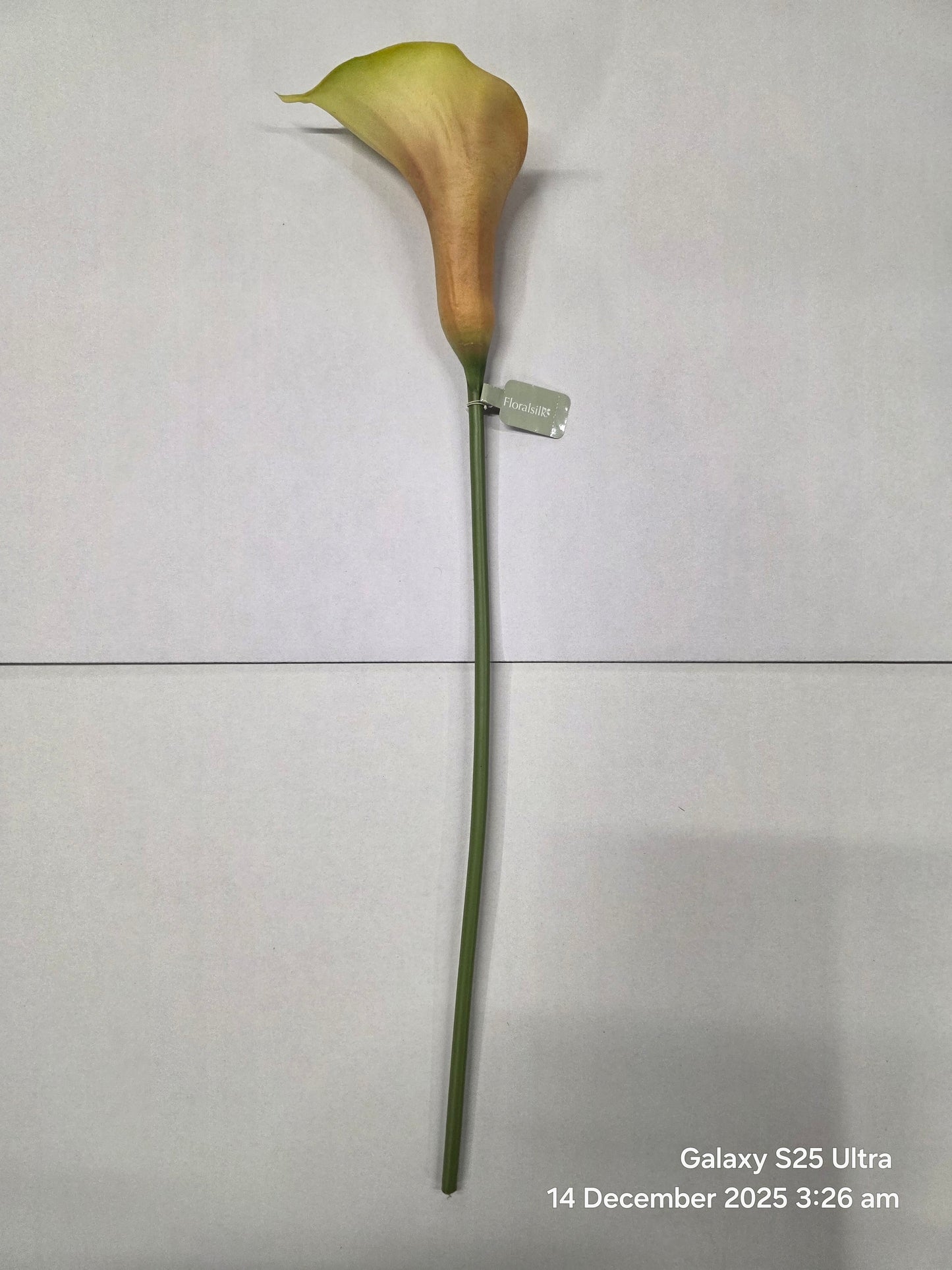 Artificial Curly Calla Mauve (PACK OF 2)