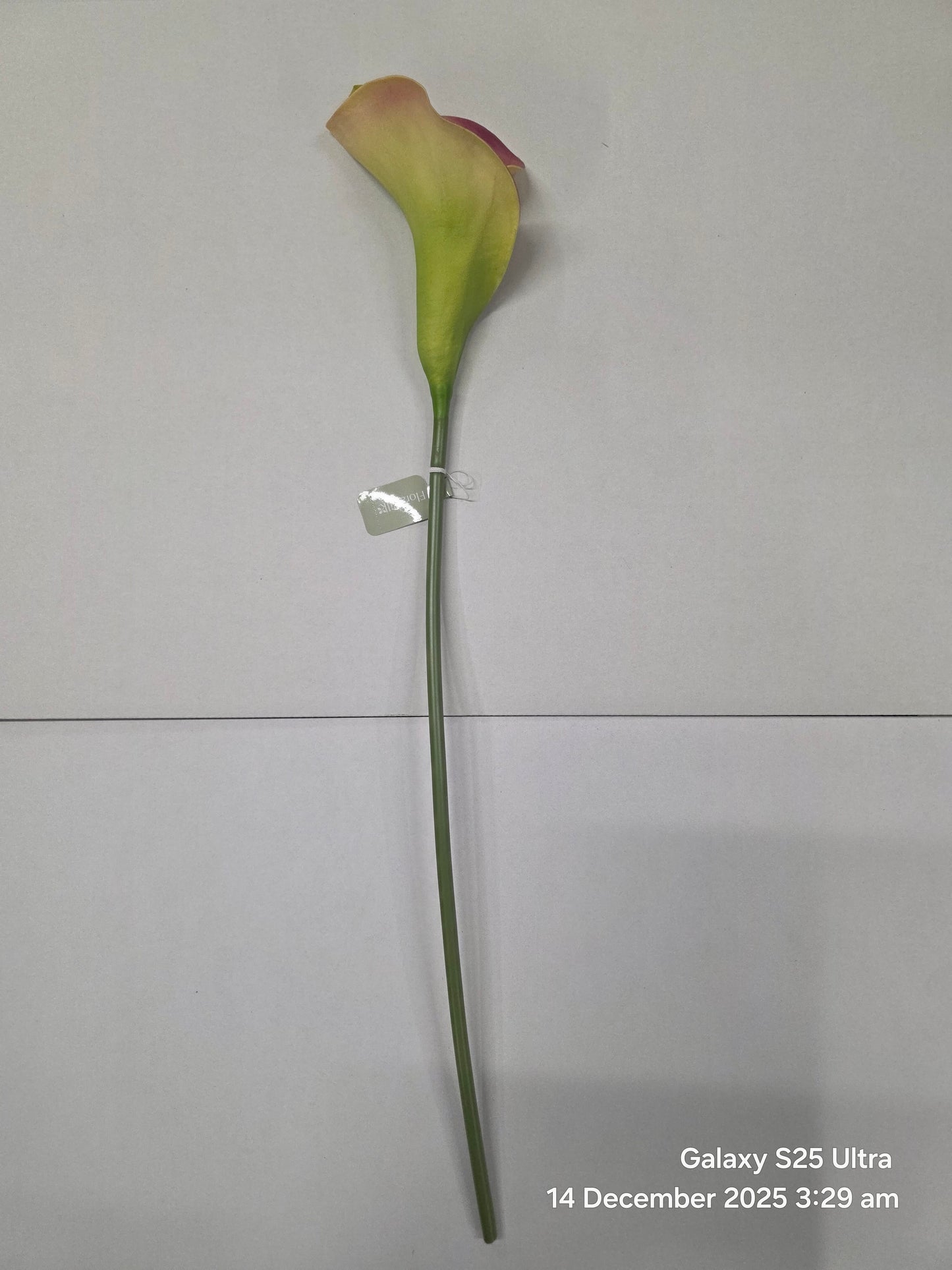 Artificial Curly Calla Purple (PACK OF 2)