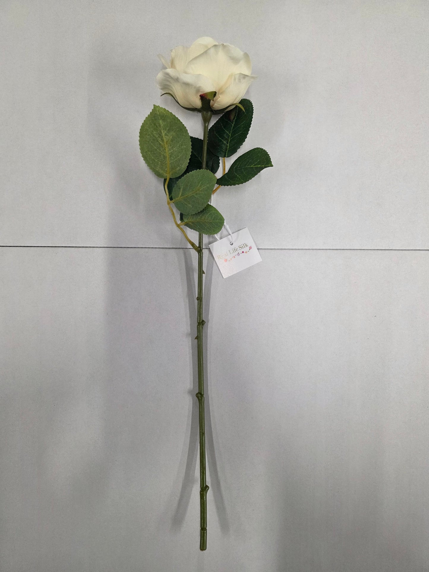 Artificial Balmoral Old Garden Rose Cream (PACK OF 2)