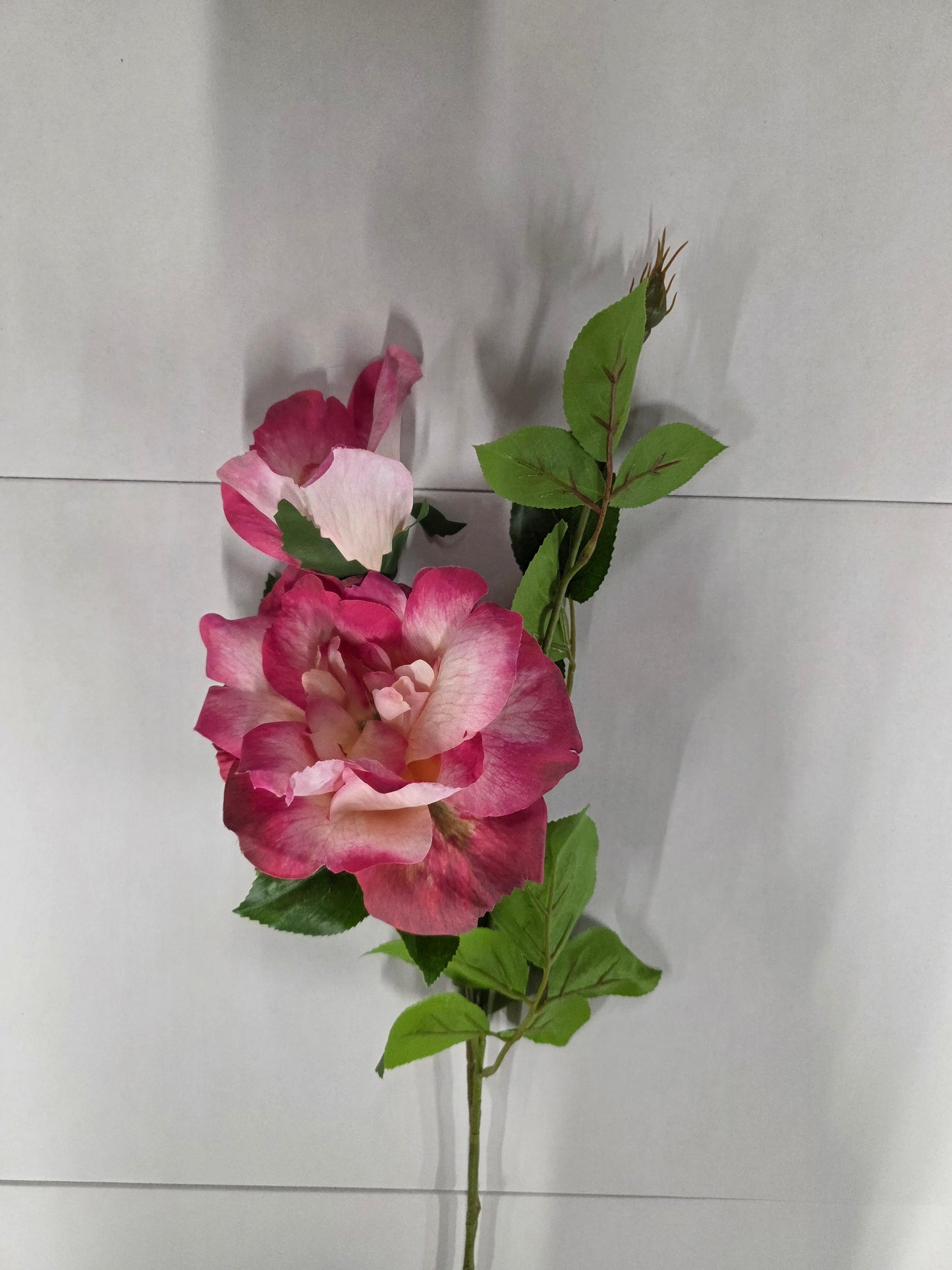 Artificial Charlotte Rose Spray Fuchsia