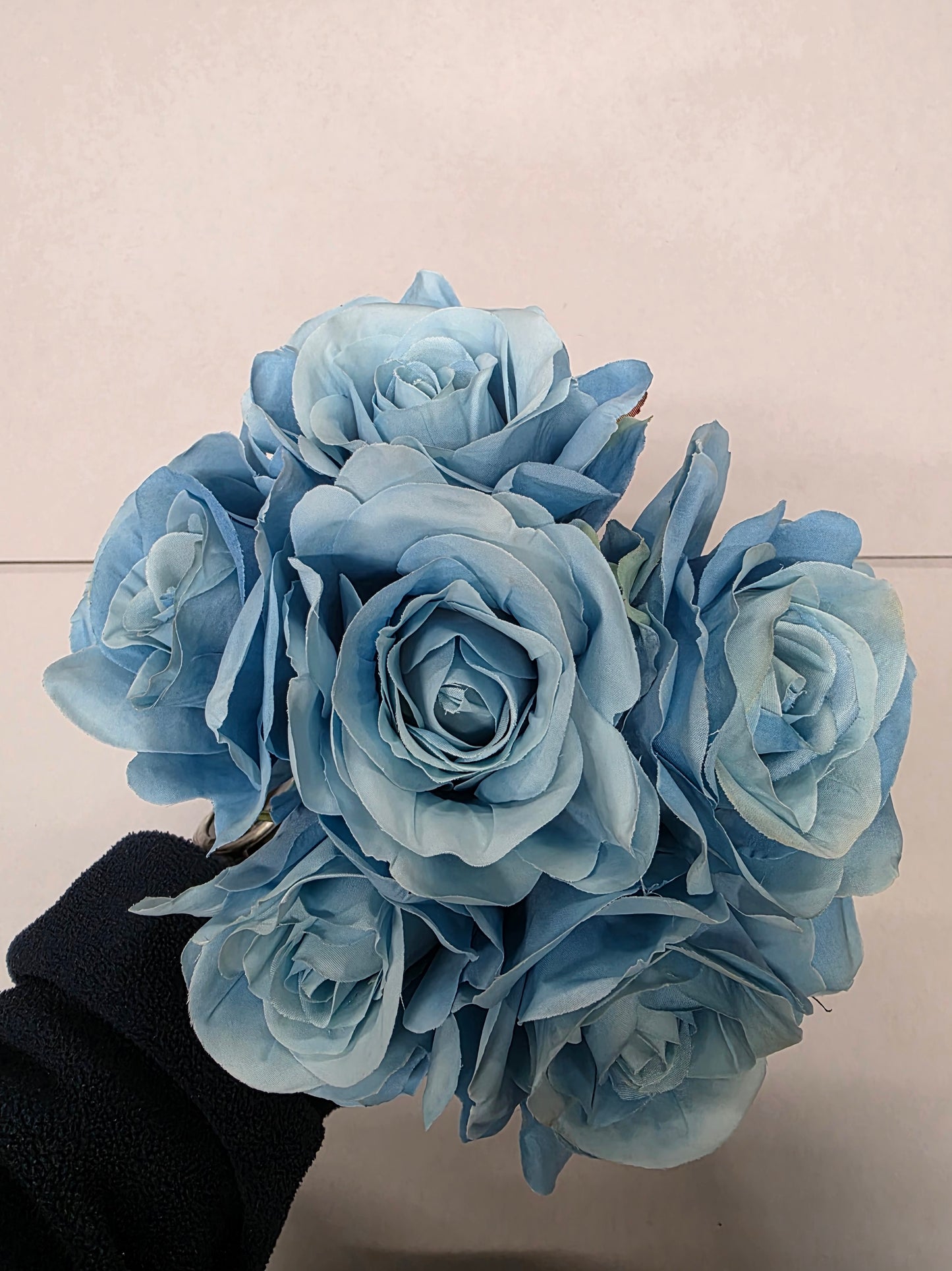 Eugenie Rose Bunch X 6 Blue