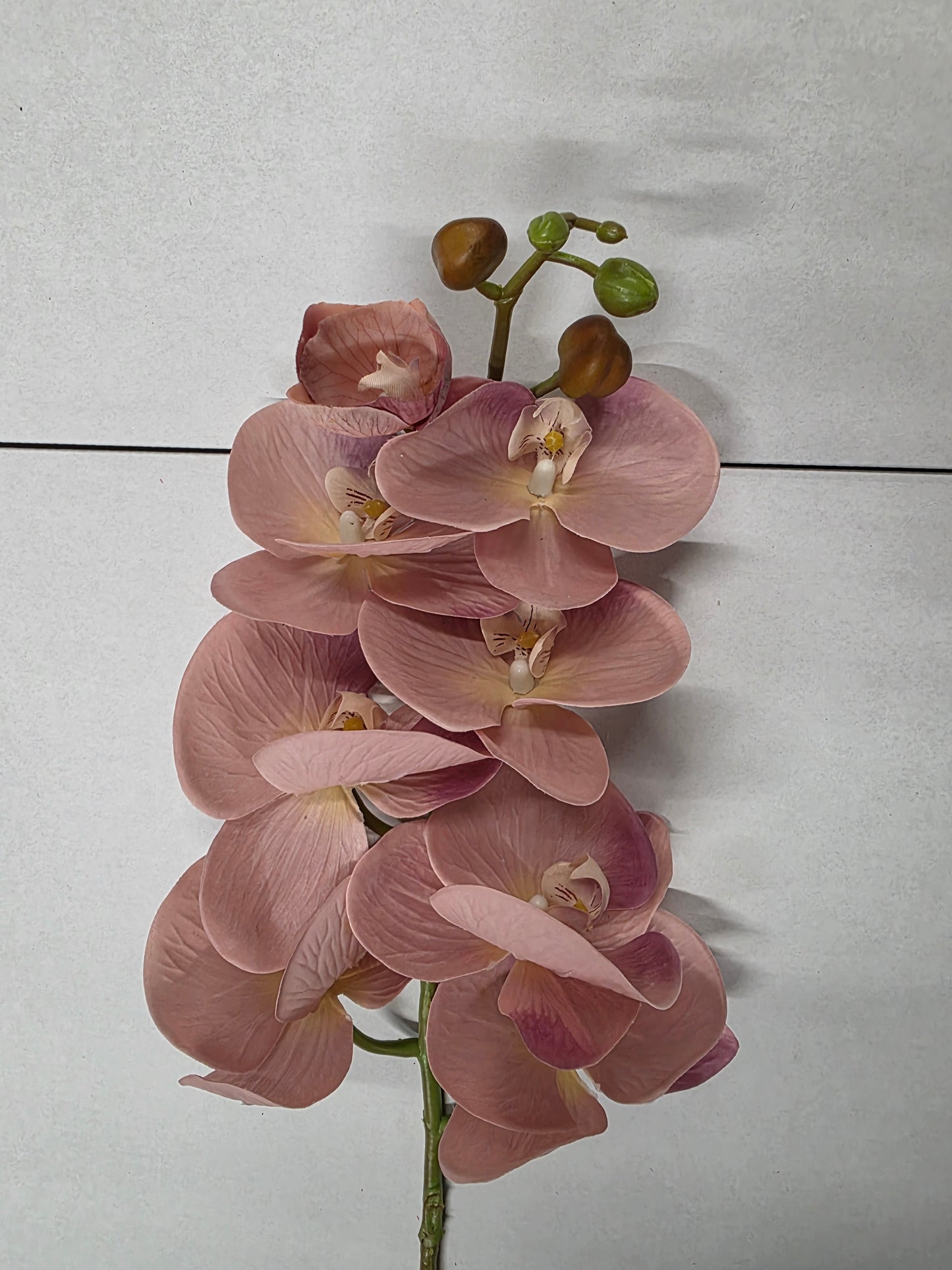 Artificial Orchid Phalaenopsis Bisque