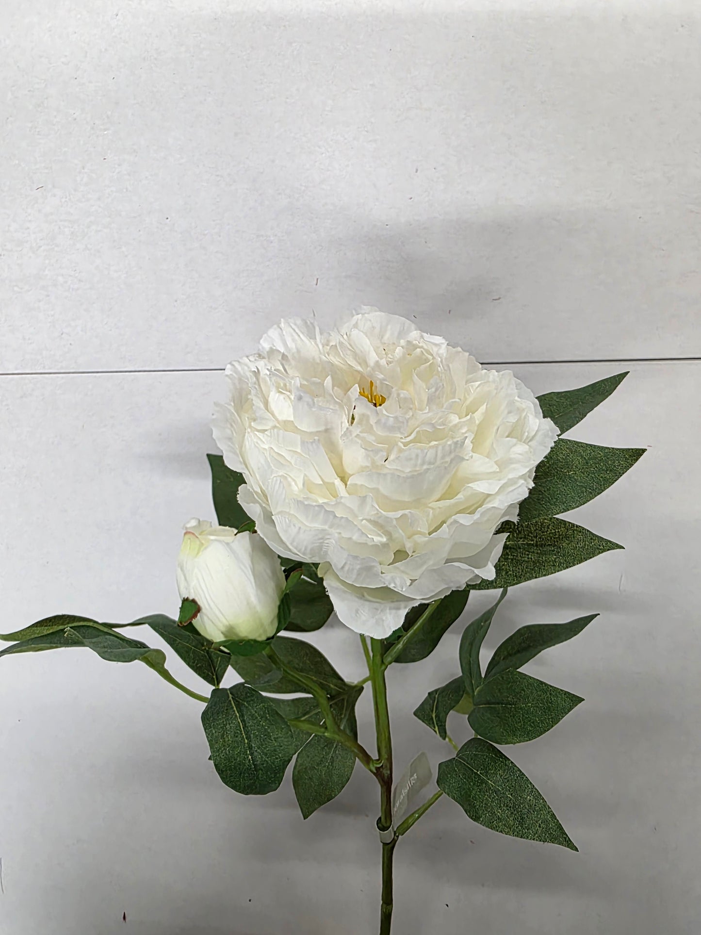 Artificial Peony Spray White