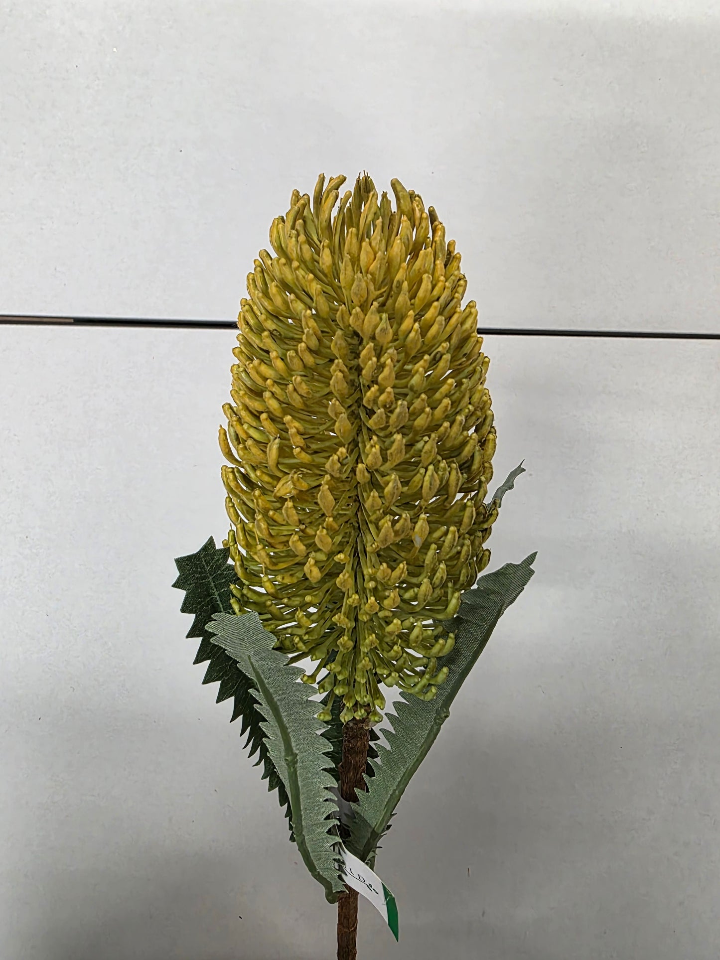 Artificial Banksia Spray Yellow 72 Cm