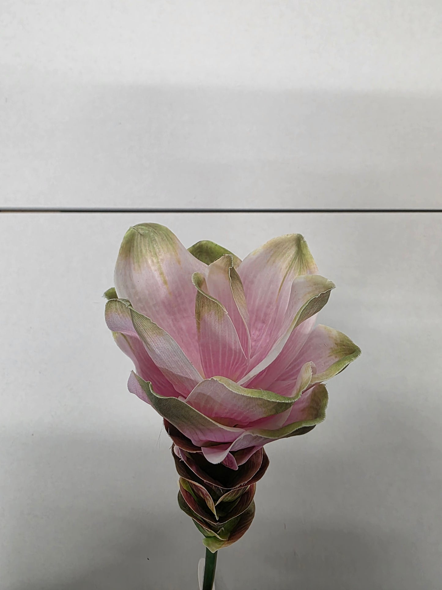 Artificial Curcuma Light Pink
