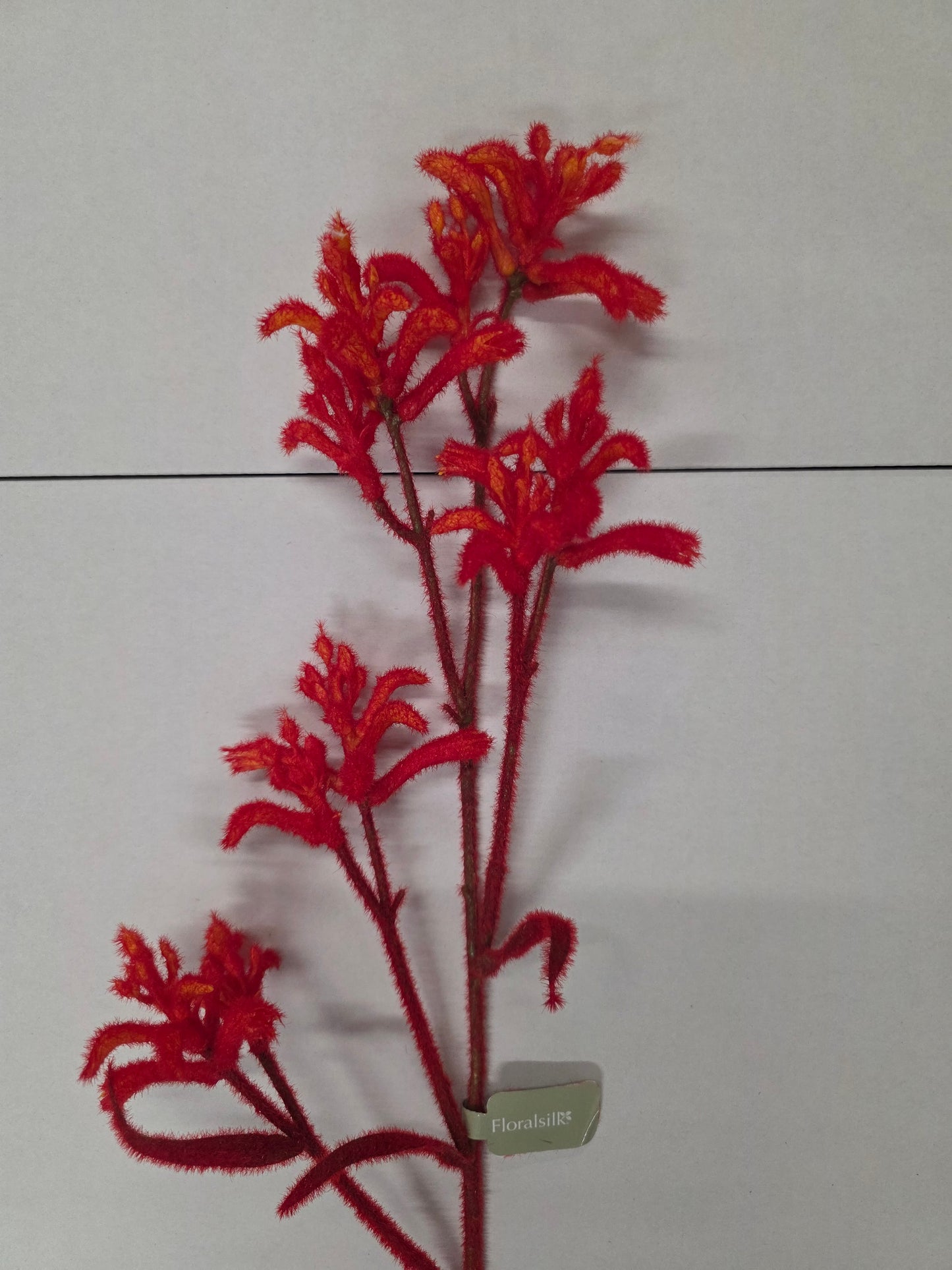 Artificial Kangaroo Paw Spray Orange