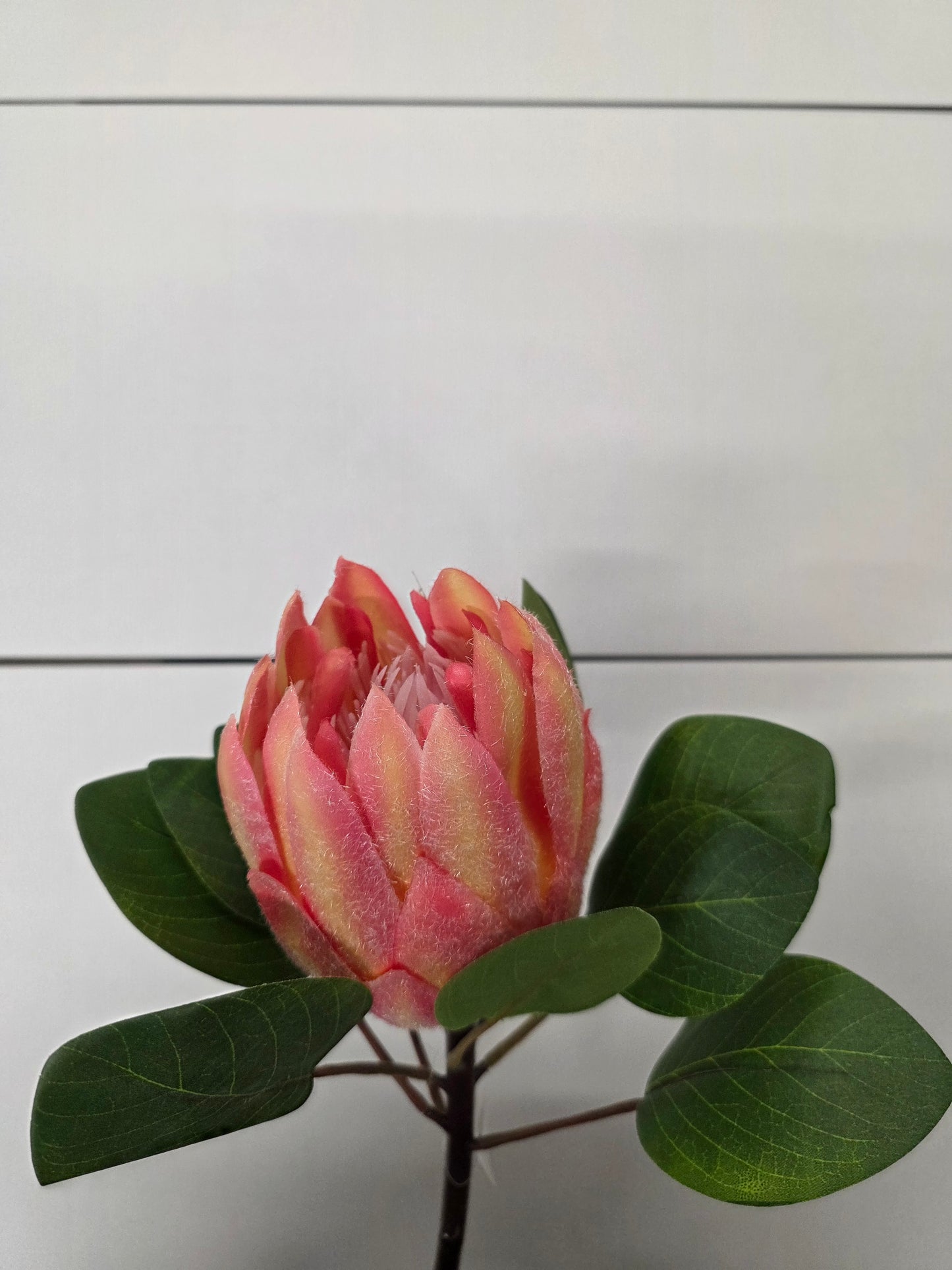Artificial Protea Pink
