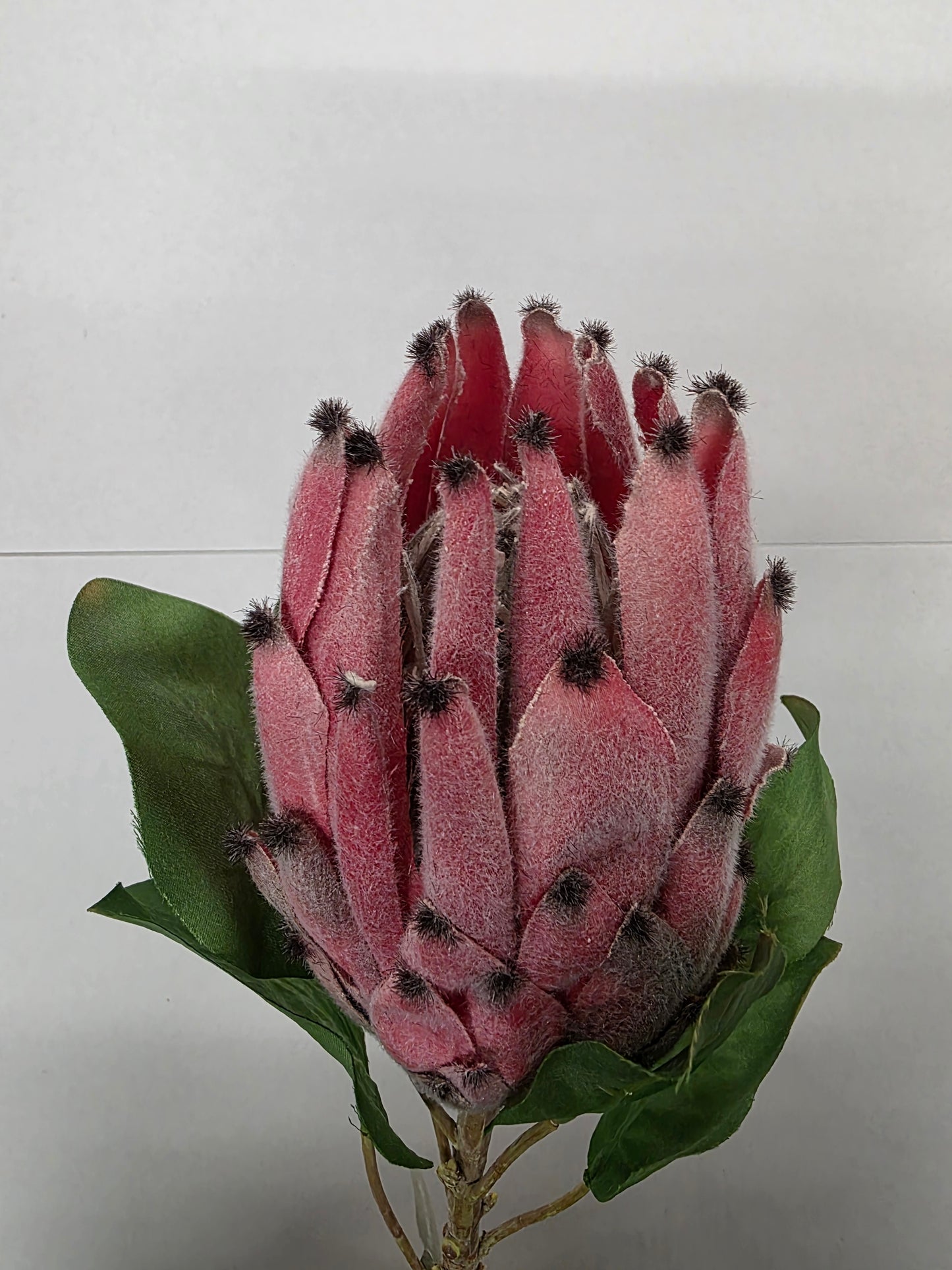 Artificial Protea Pink Spray 71cm