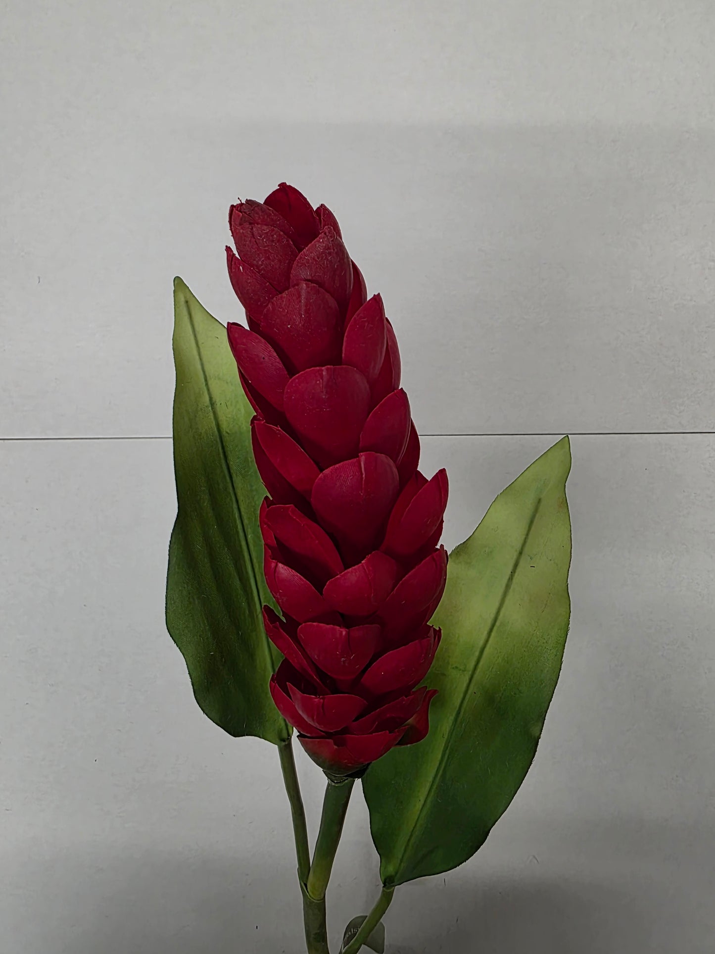 Artificial Torch Ginger Stem