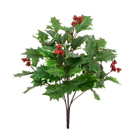 Holly Bush With Berries Variegated 48cm