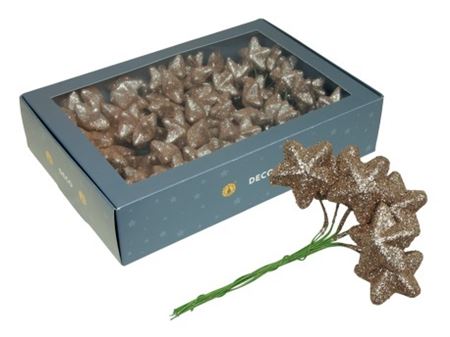 Wired Sparkling Stars Champagne18x6 4cm