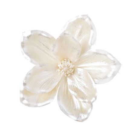 Clip Magnolia Ivory 16cm